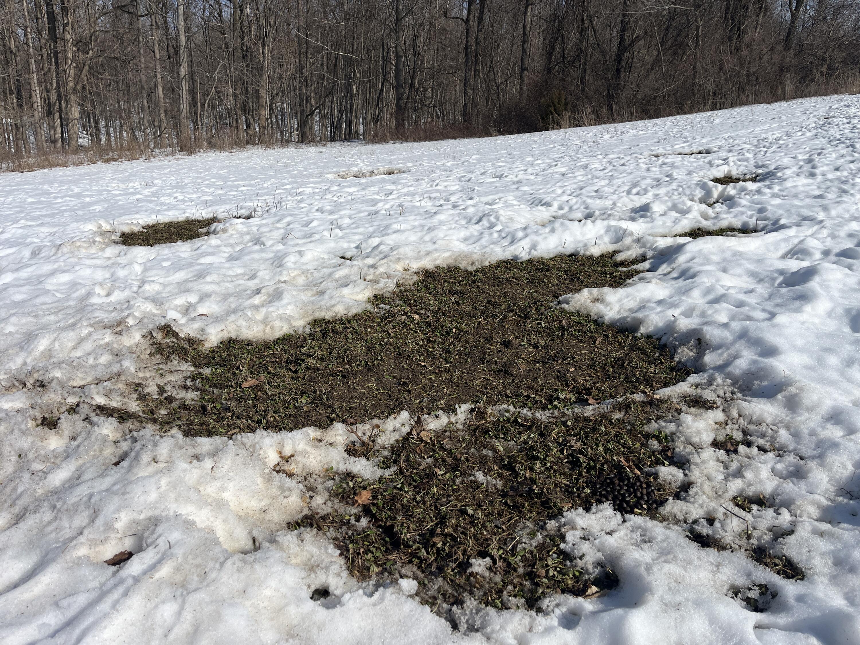 0 County Road 5, Zanesfield, Ohio 43360