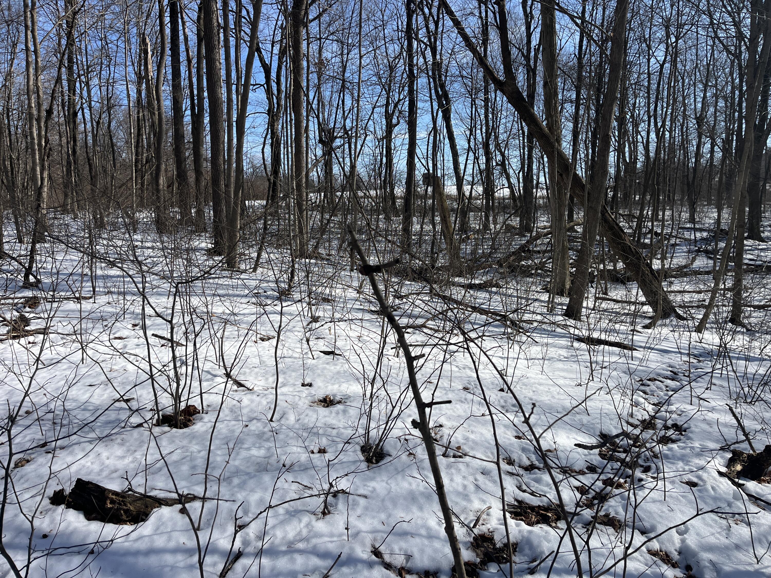 0 County Road 5, Zanesfield, Ohio 43360