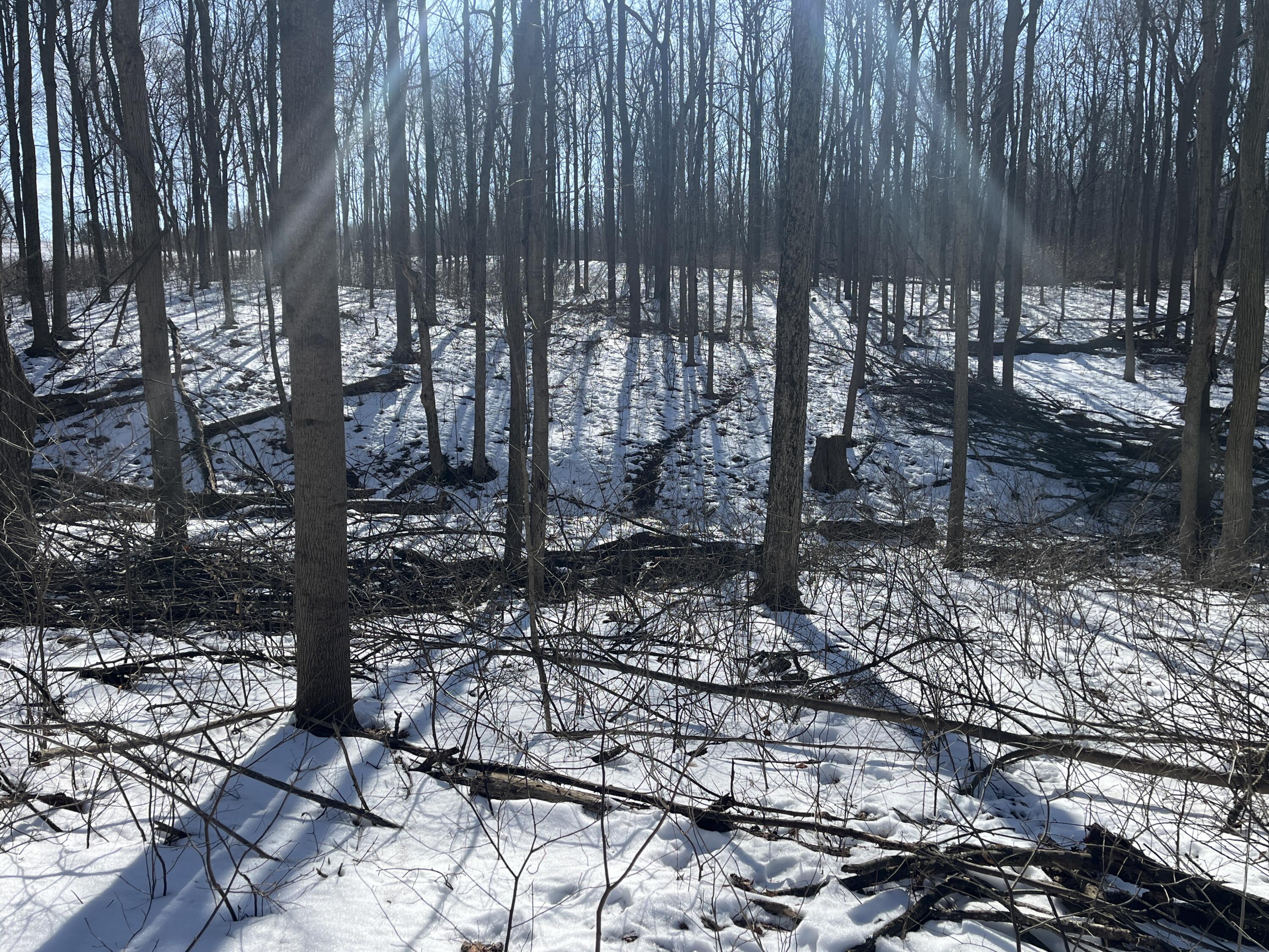 0 County Road 5, Zanesfield, Ohio 43360