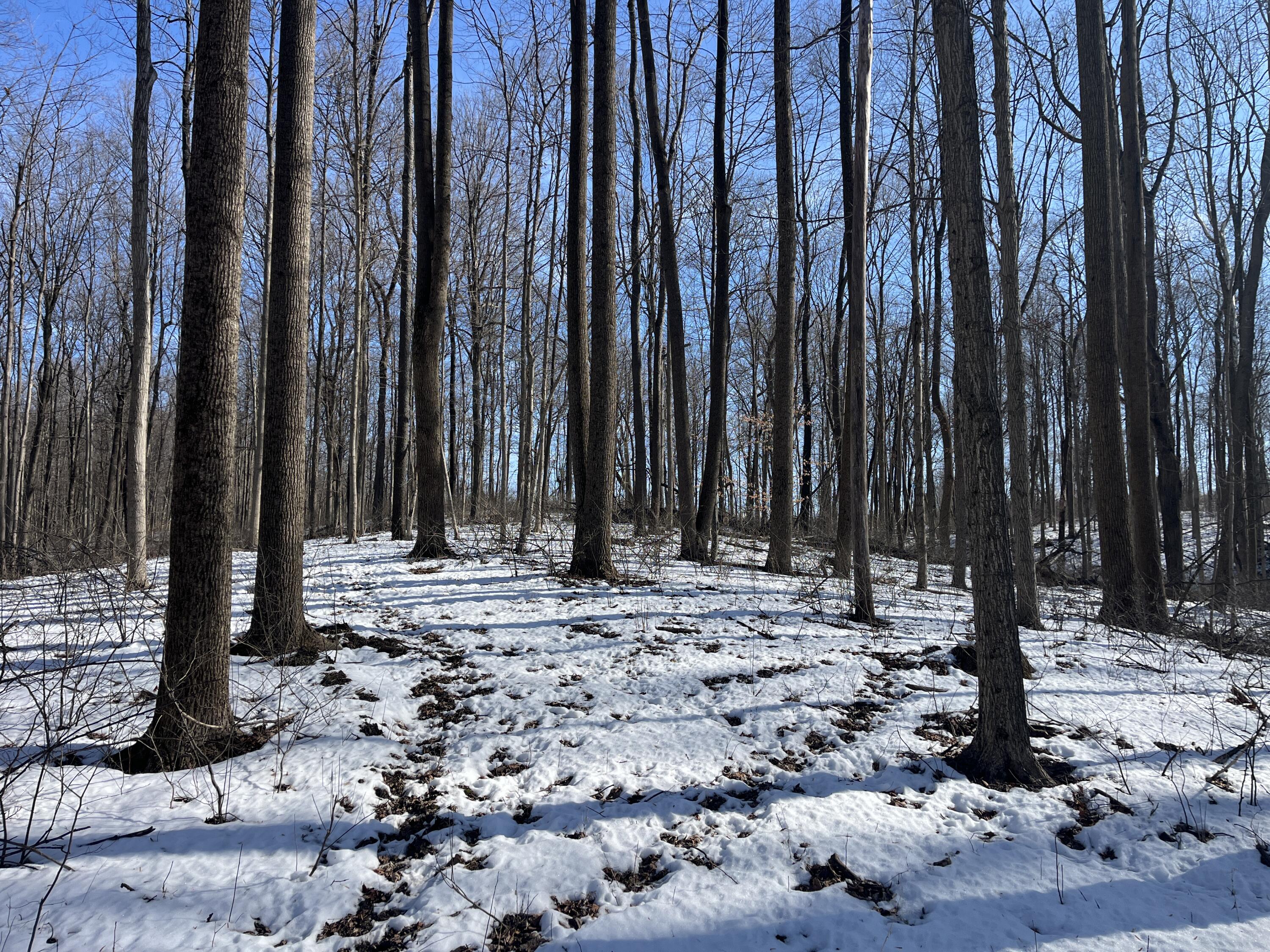 0 County Road 5, Zanesfield, Ohio 43360