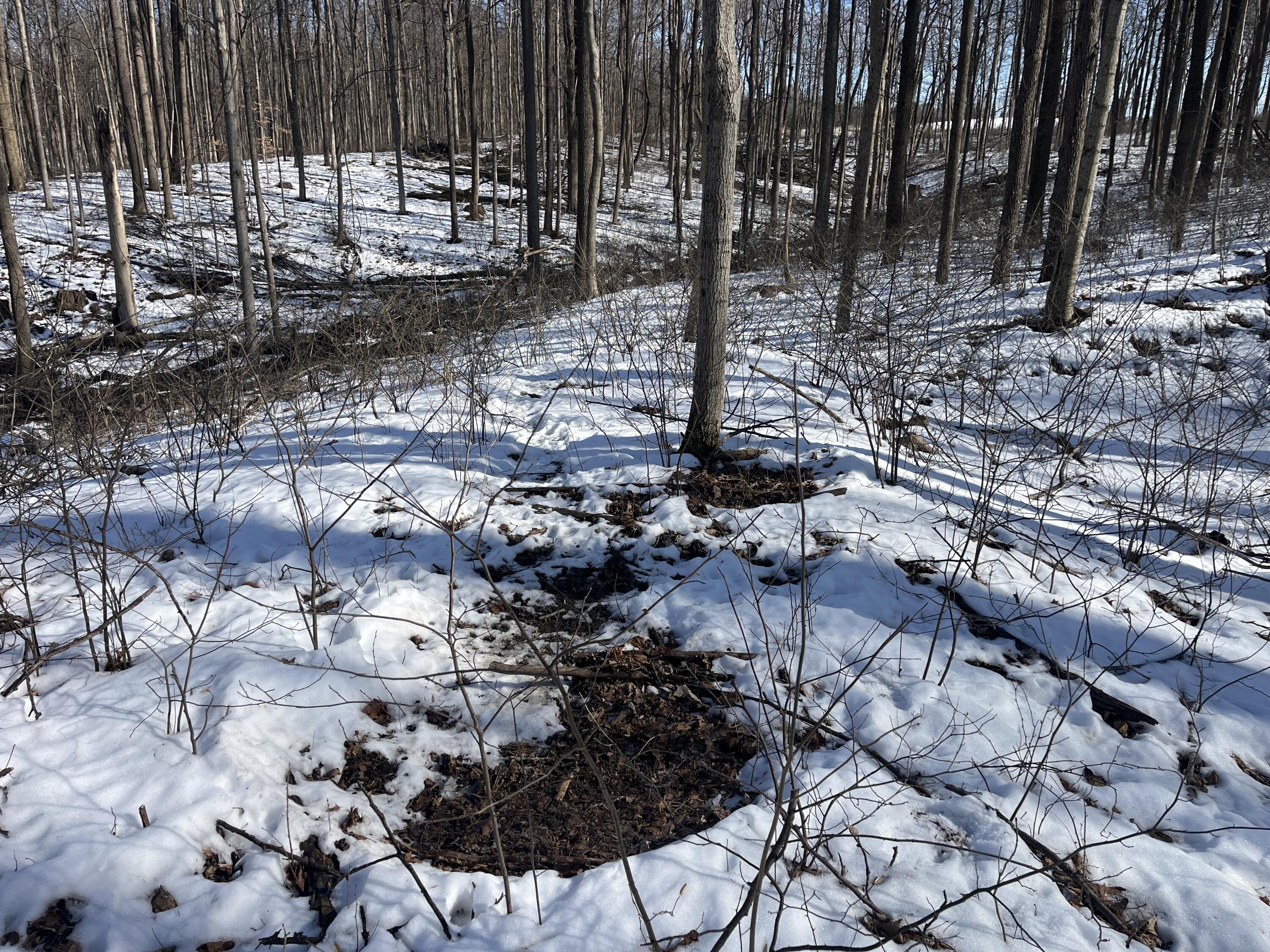 0 County Road 5, Zanesfield, Ohio 43360