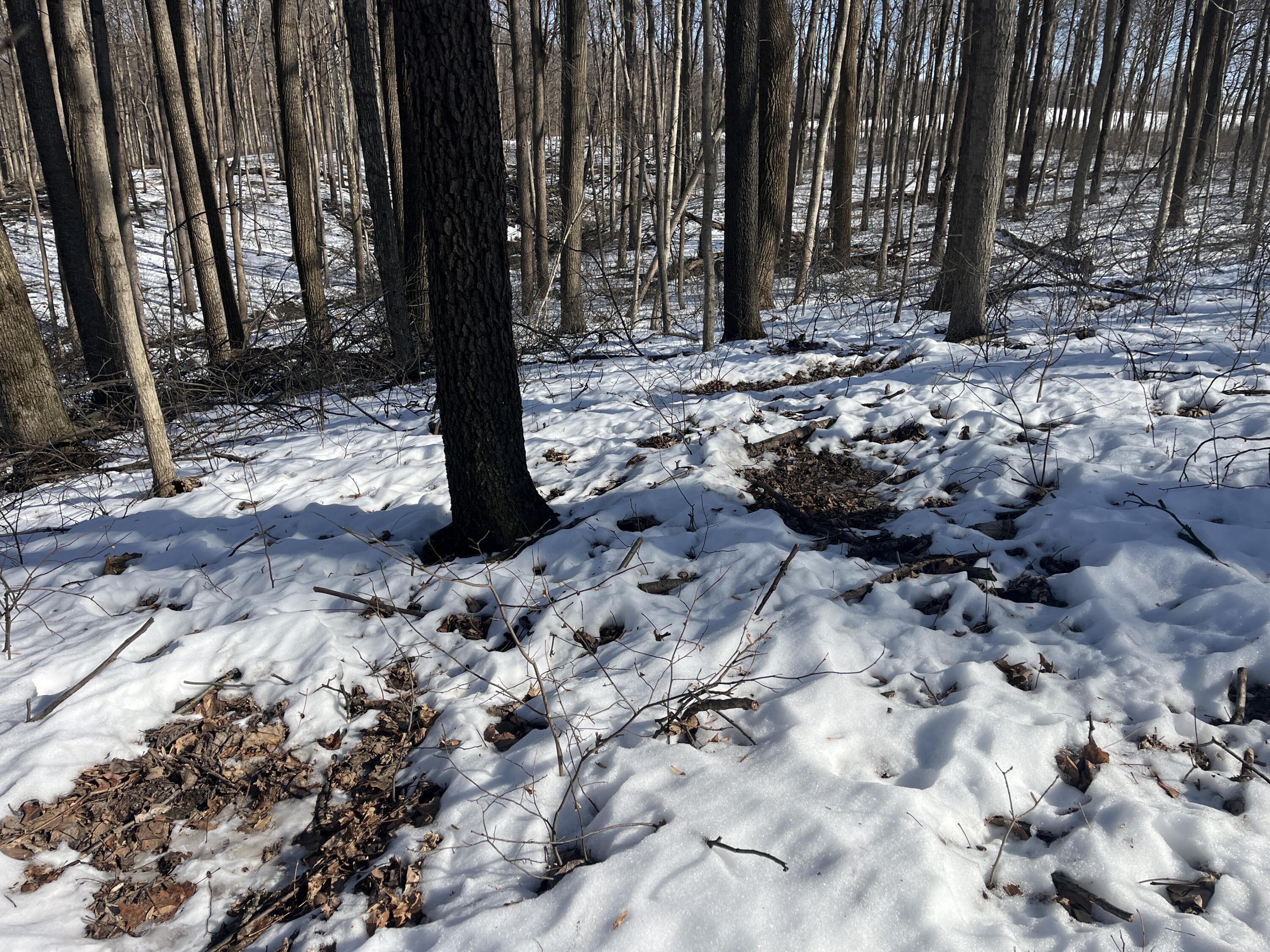 0 County Road 5, Zanesfield, Ohio 43360