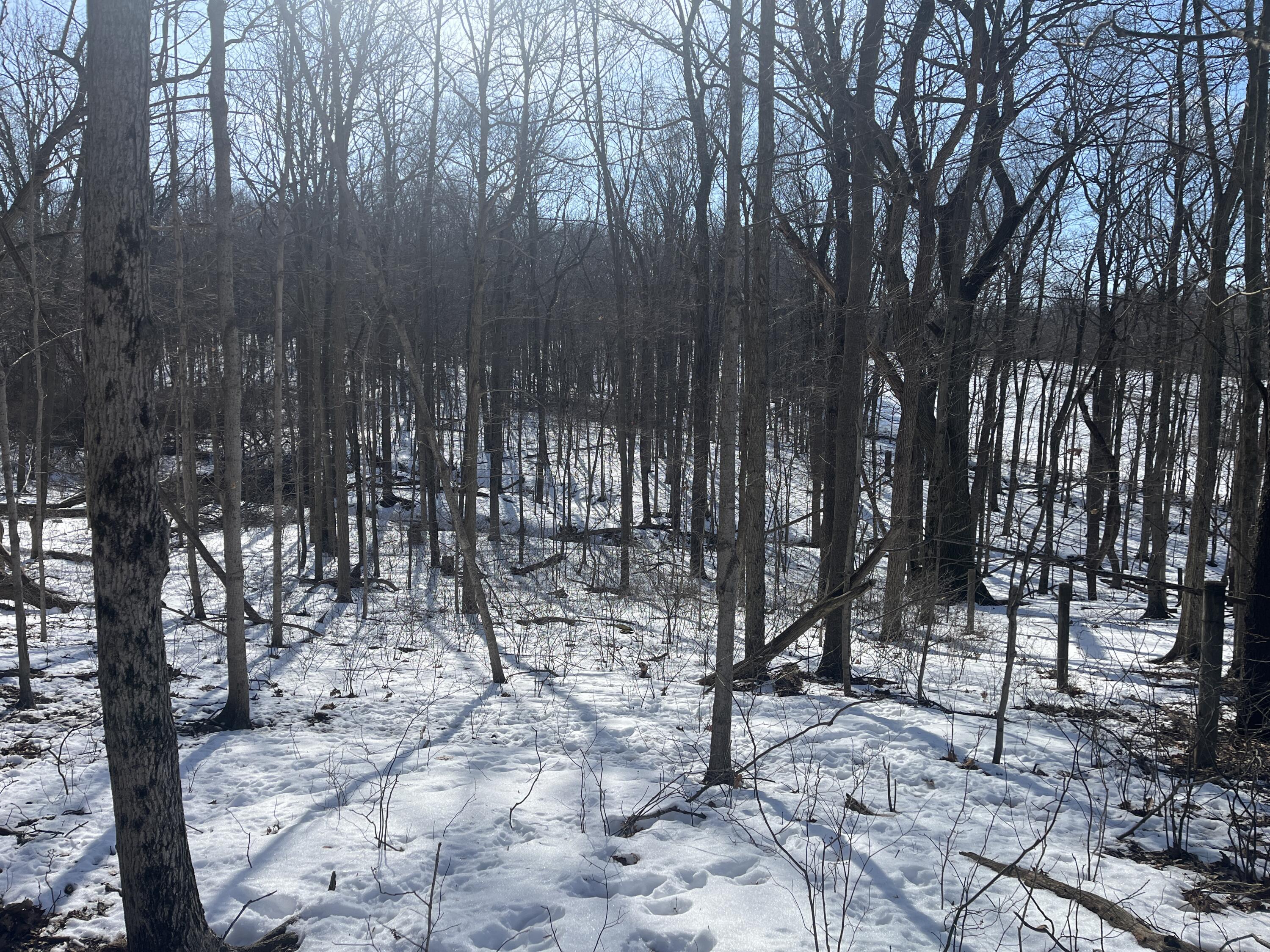 0 County Road 5, Zanesfield, Ohio 43360