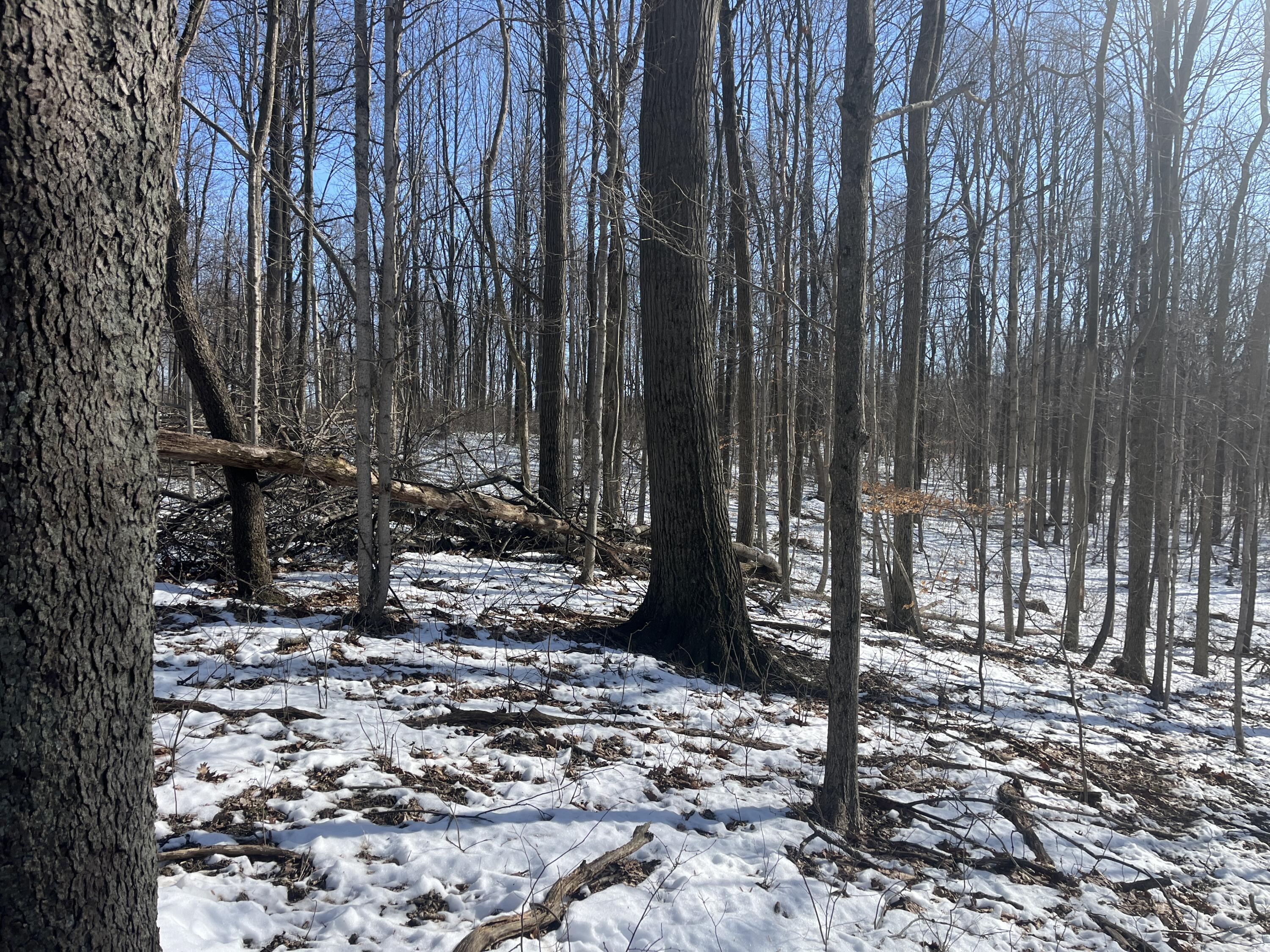 0 County Road 5, Zanesfield, Ohio 43360