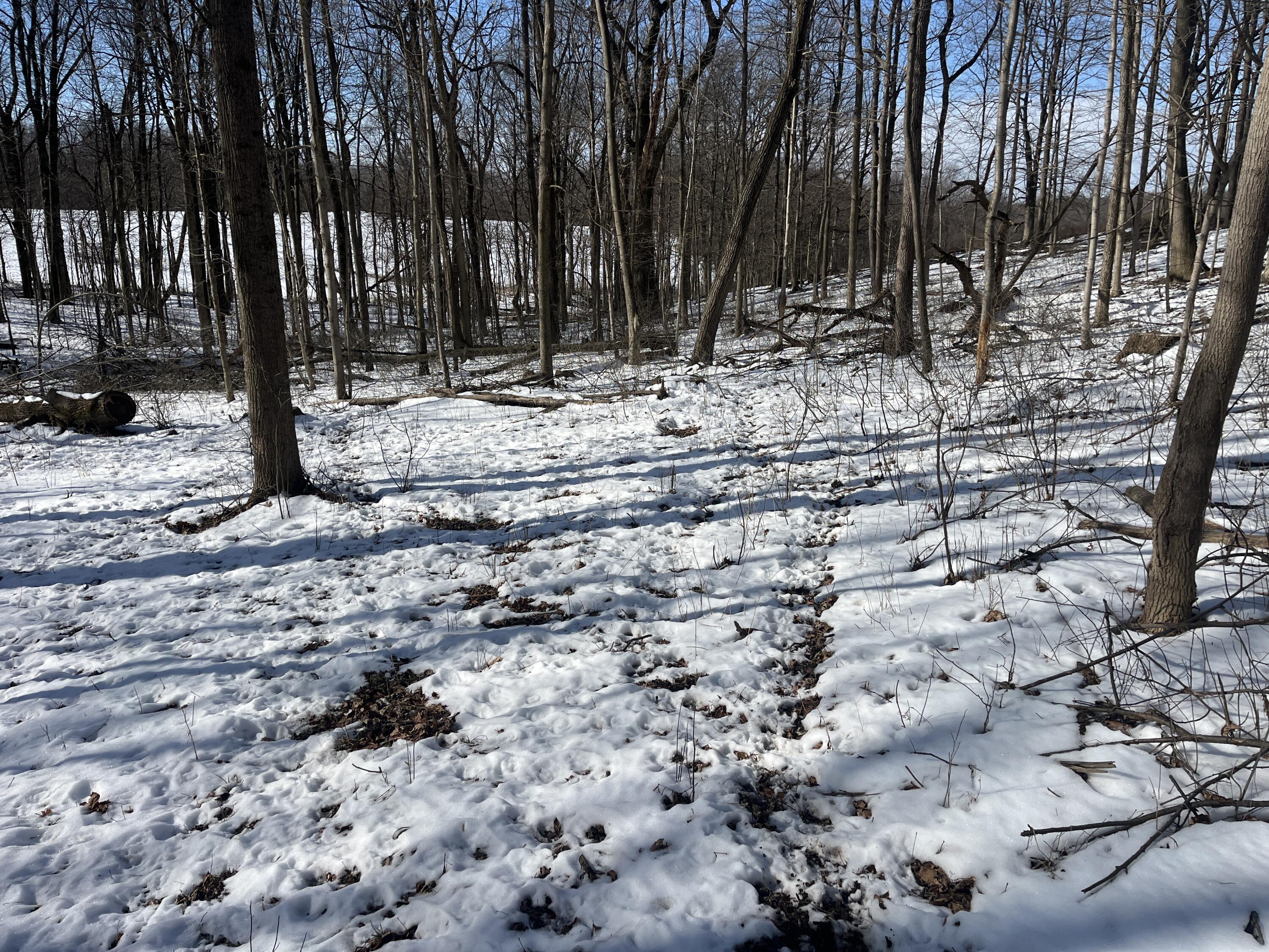 0 County Road 5, Zanesfield, Ohio 43360