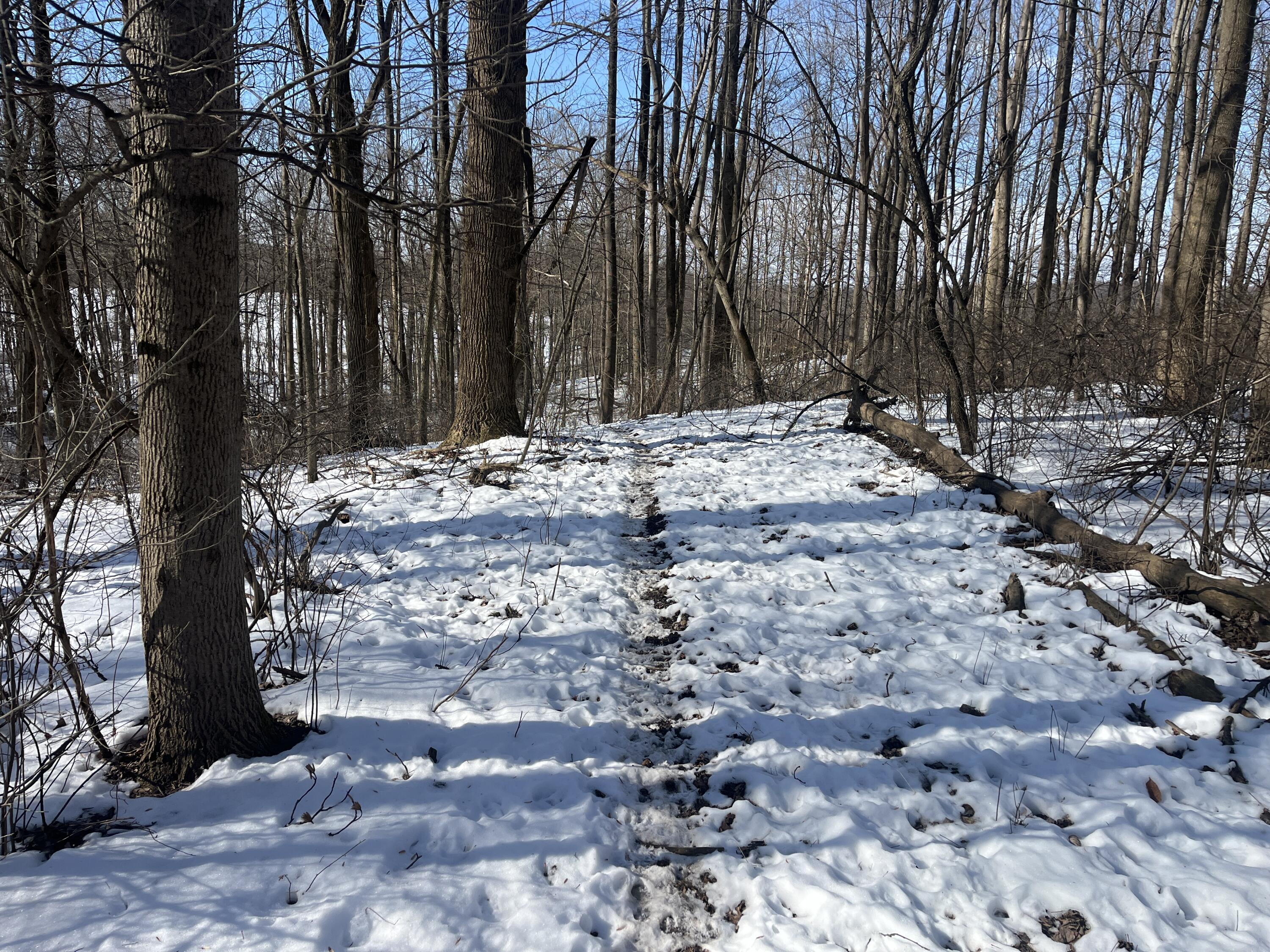 0 County Road 5, Zanesfield, Ohio 43360