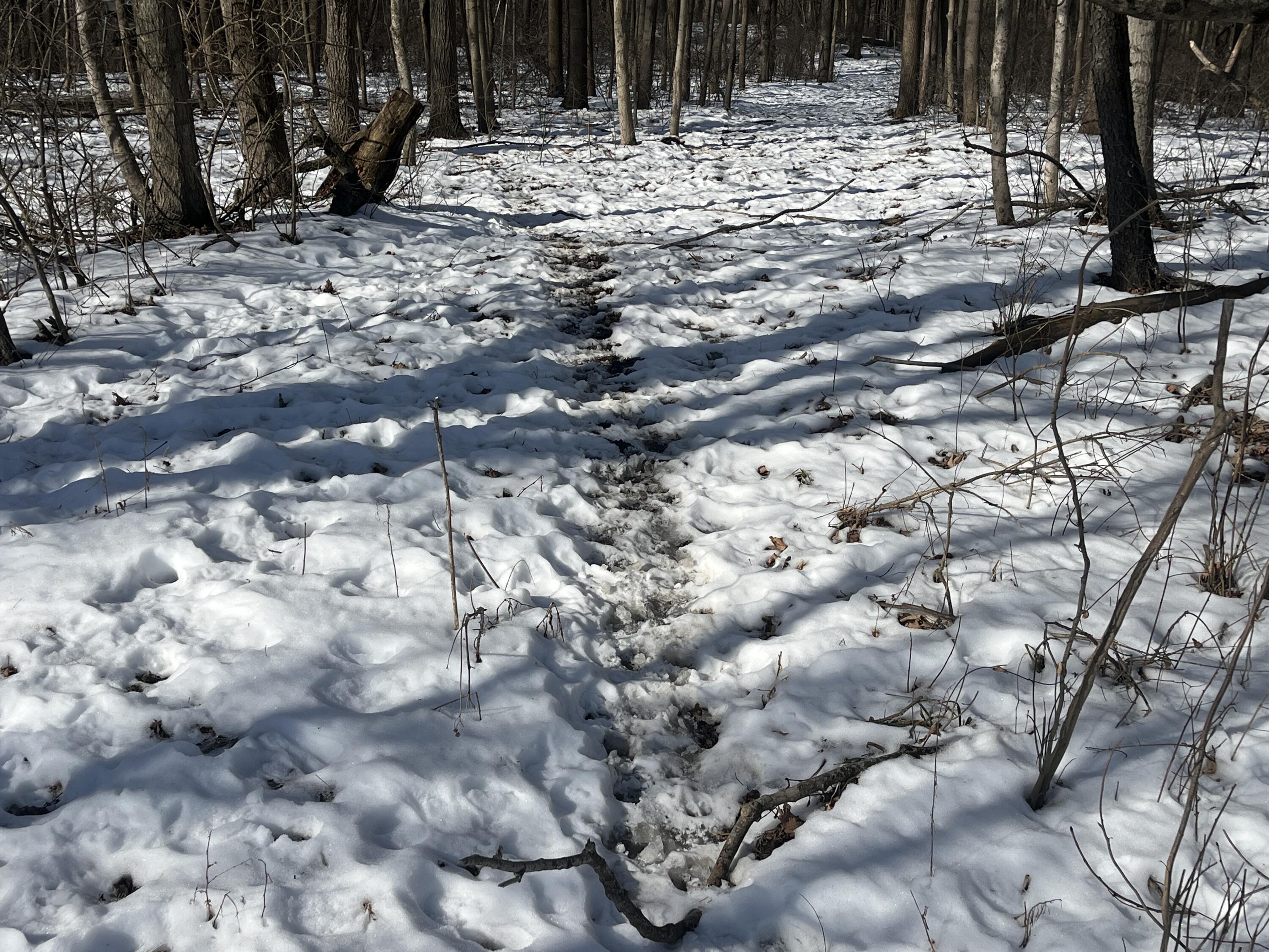 0 County Road 5, Zanesfield, Ohio 43360