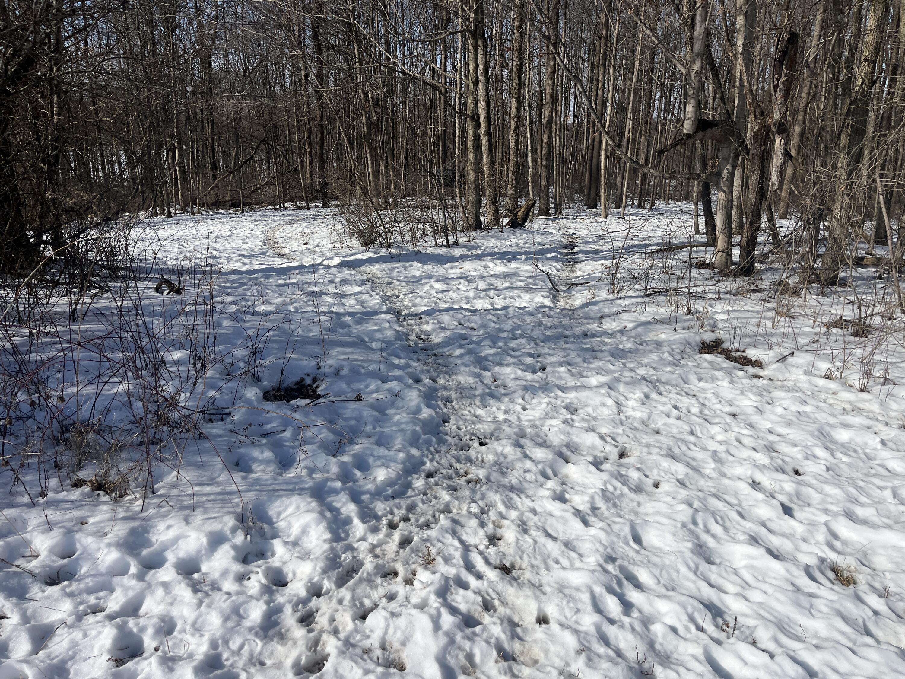 0 County Road 5, Zanesfield, Ohio 43360