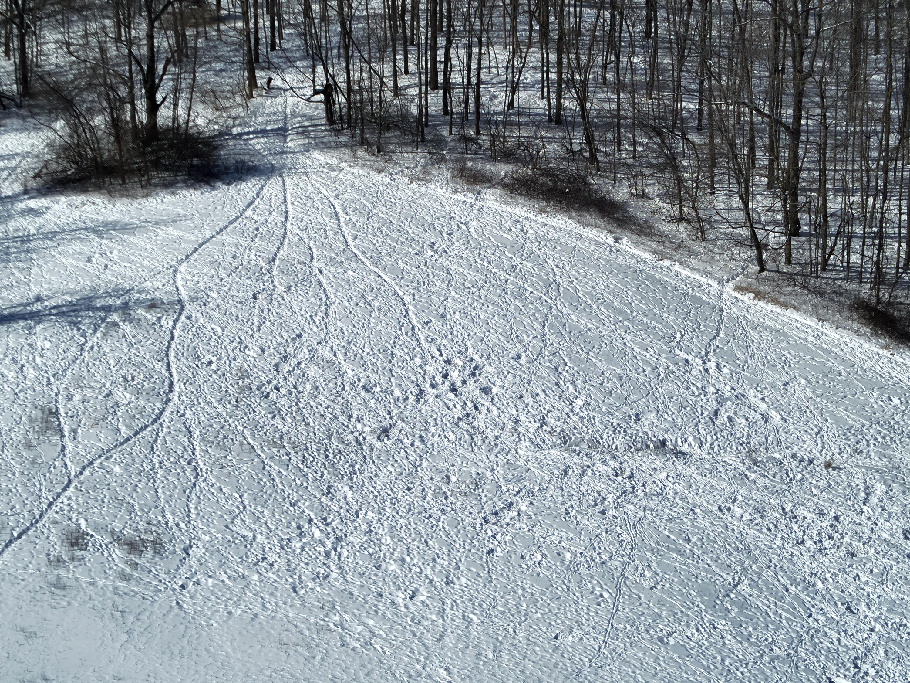 0 County Road 5, Zanesfield, Ohio 43360