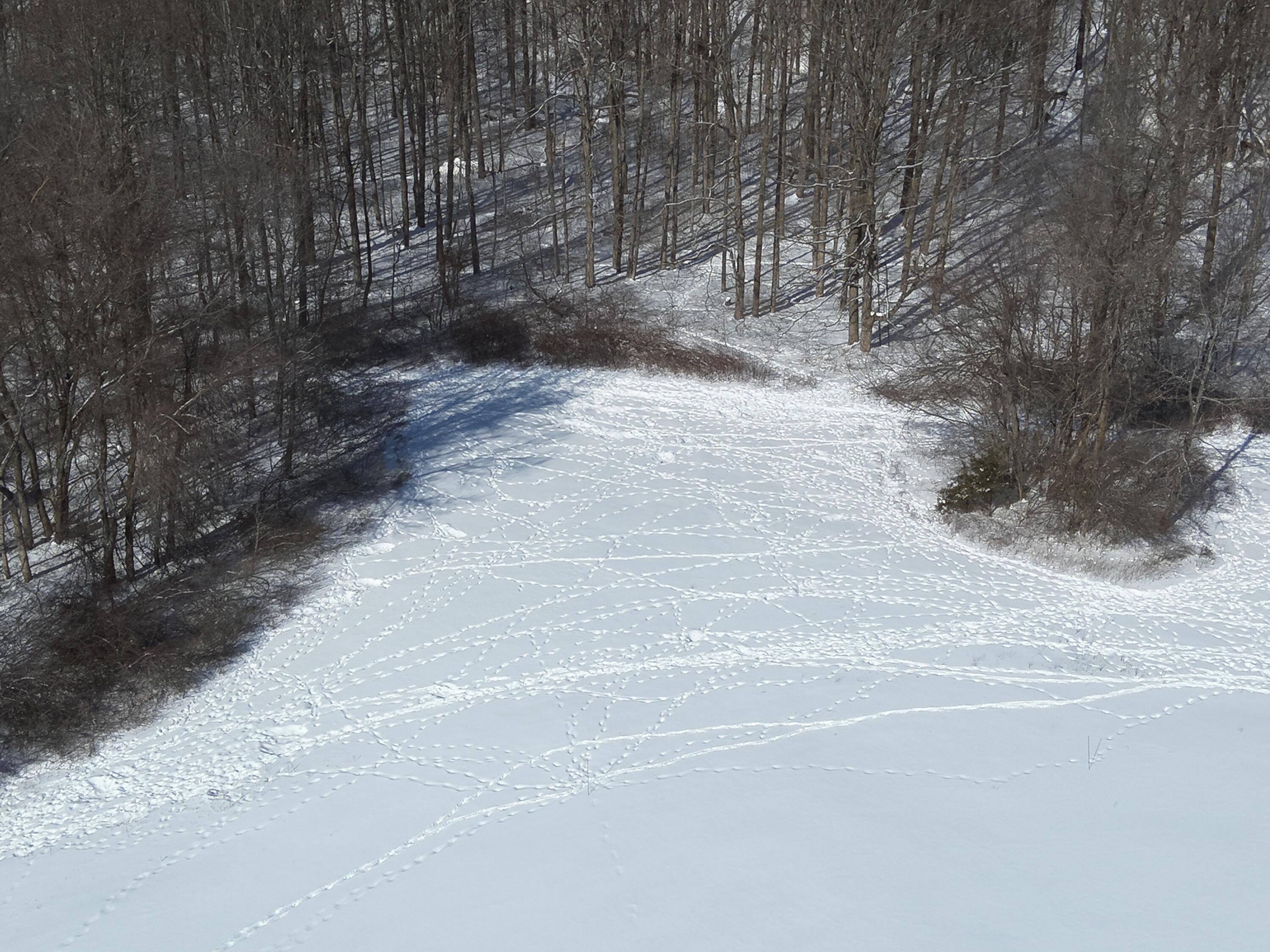 0 County Road 5, Zanesfield, Ohio 43360