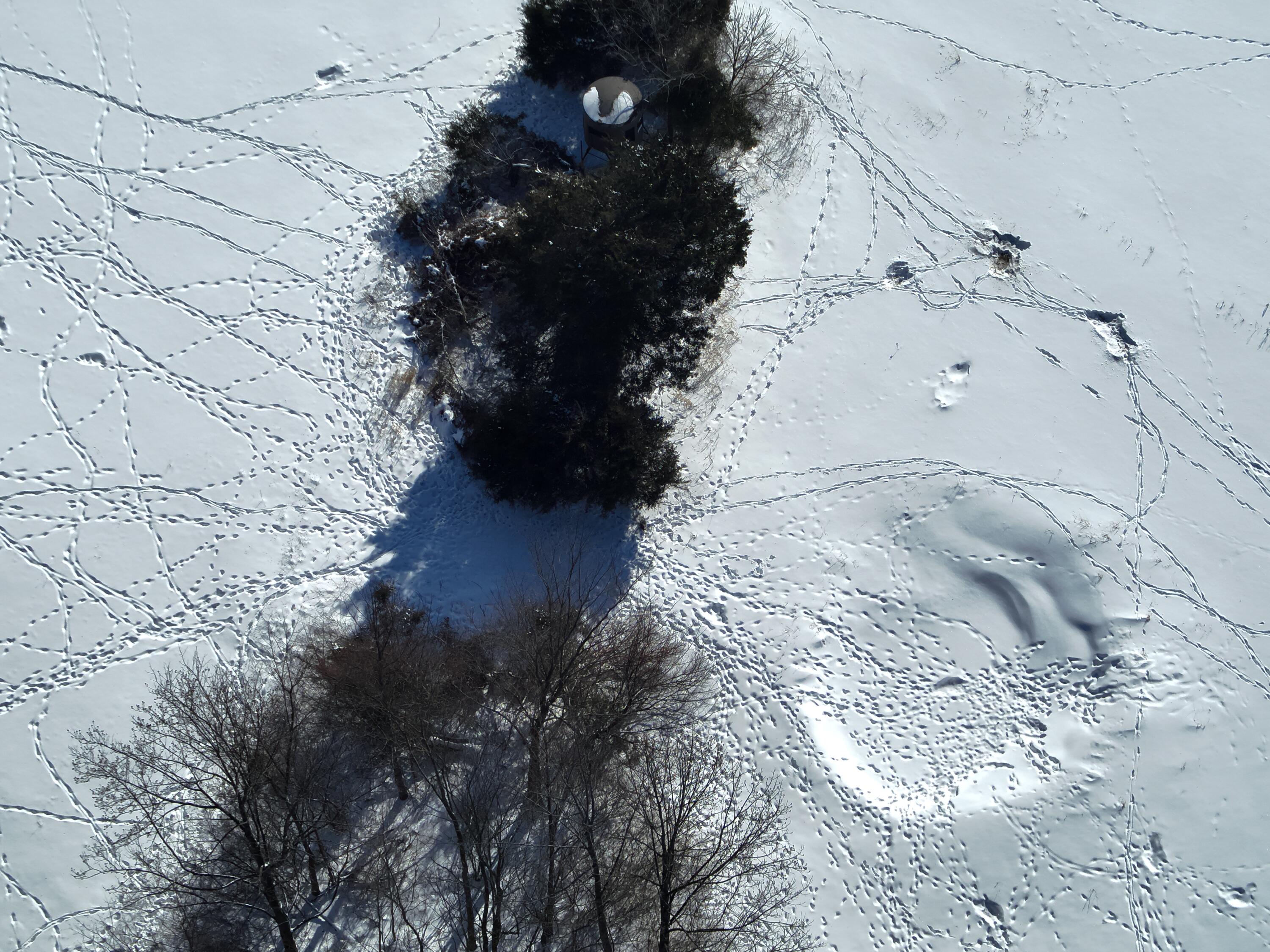 0 County Road 5, Zanesfield, Ohio 43360