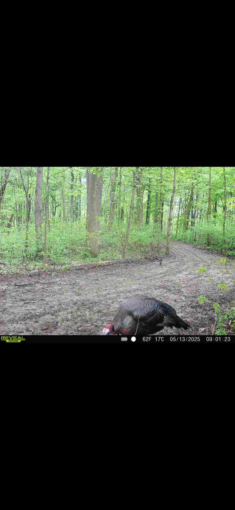 0 County Road 5, Zanesfield, Ohio 43360