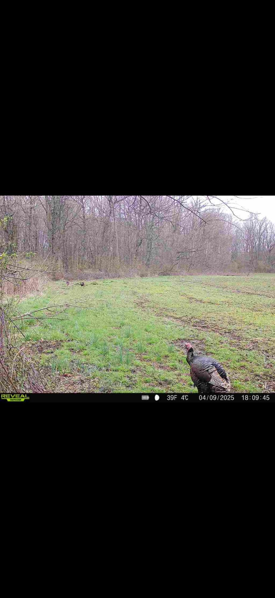 0 County Road 5, Zanesfield, Ohio 43360