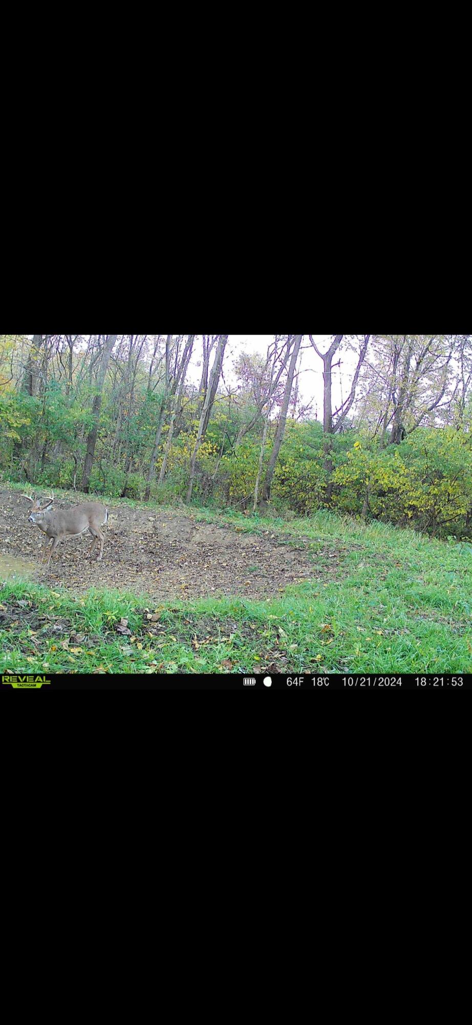 0 County Road 5, Zanesfield, Ohio 43360