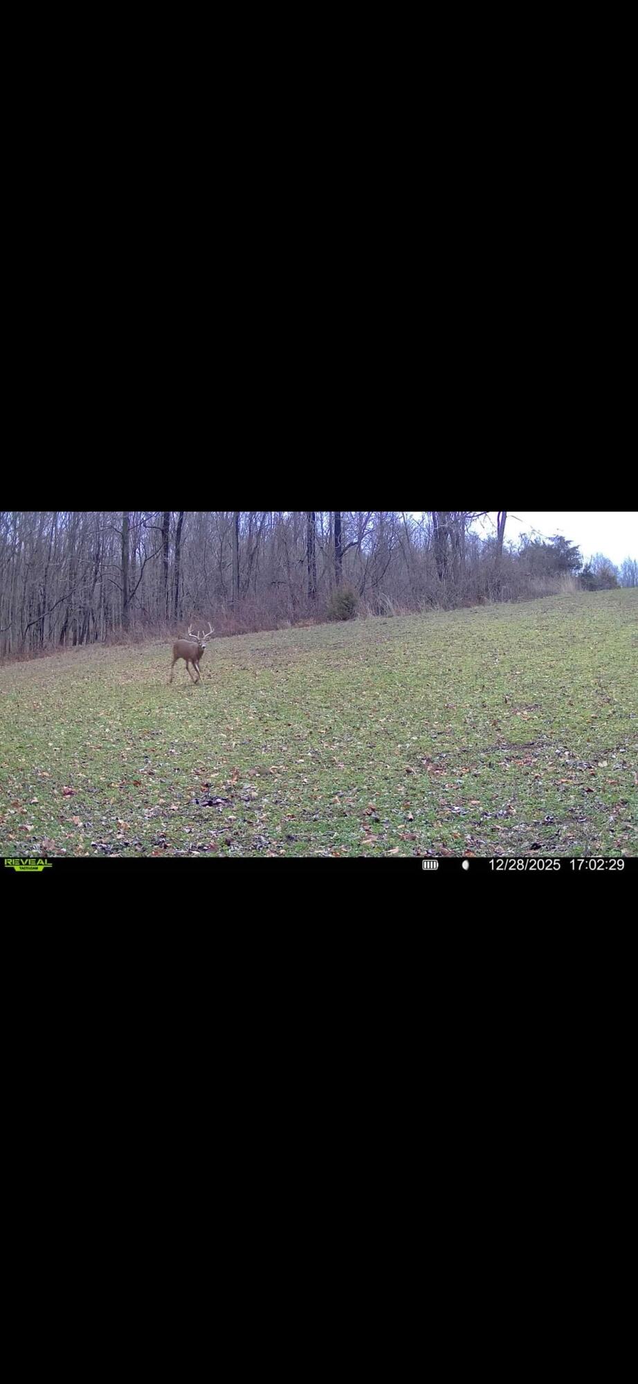 0 County Road 5, Zanesfield, Ohio 43360