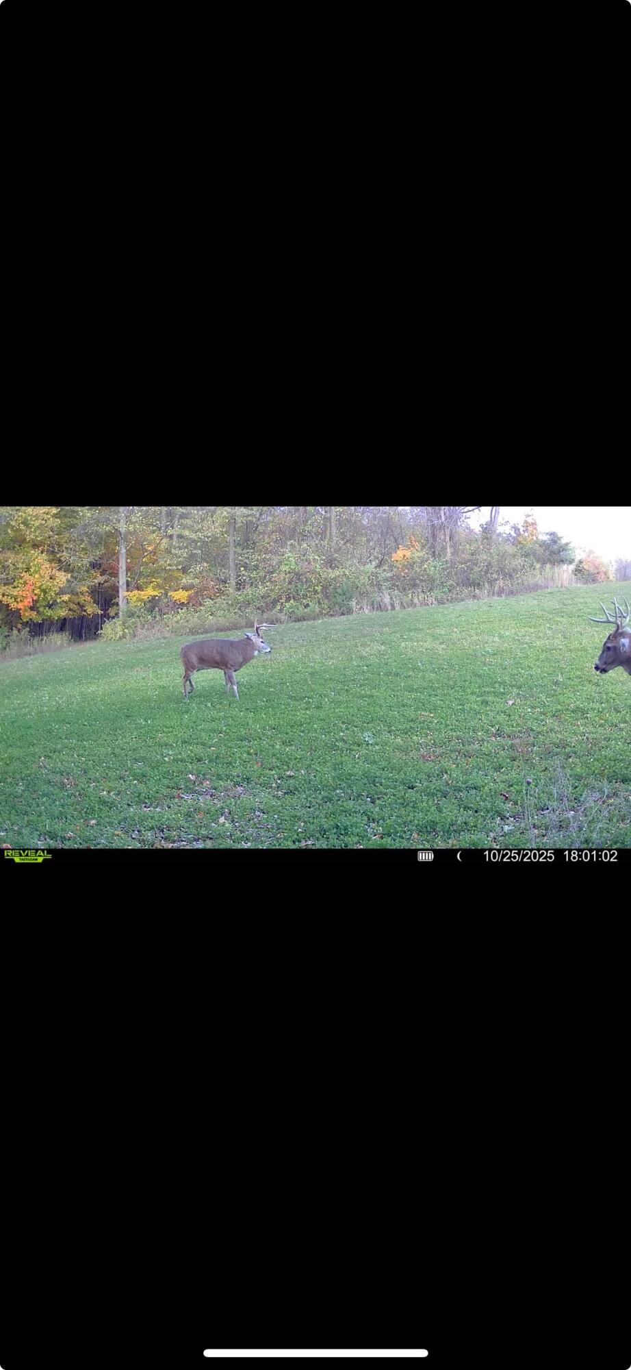 0 County Road 5, Zanesfield, Ohio 43360