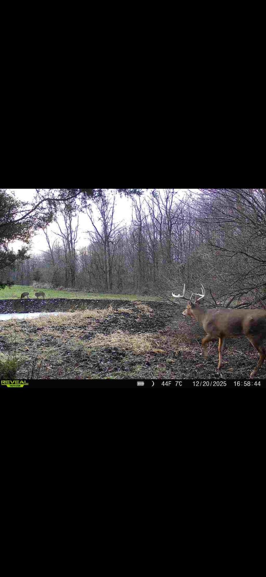 0 County Road 5, Zanesfield, Ohio 43360