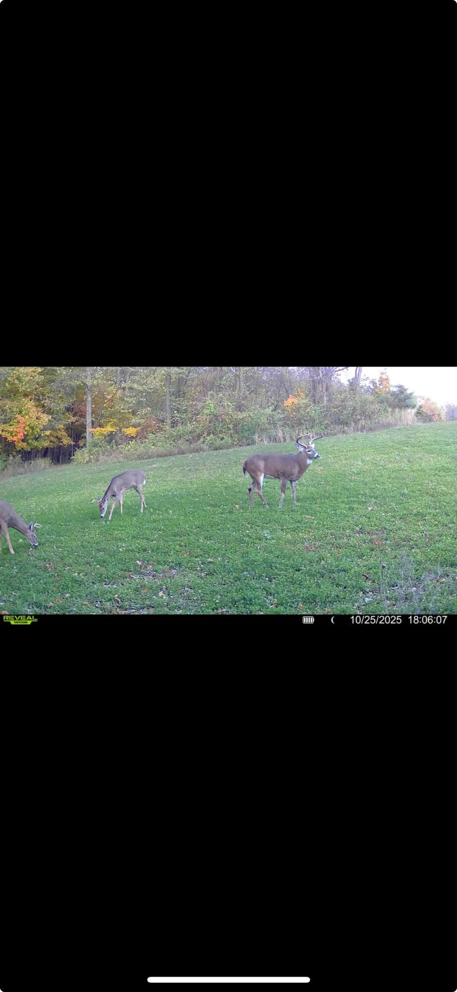 0 County Road 5, Zanesfield, Ohio 43360