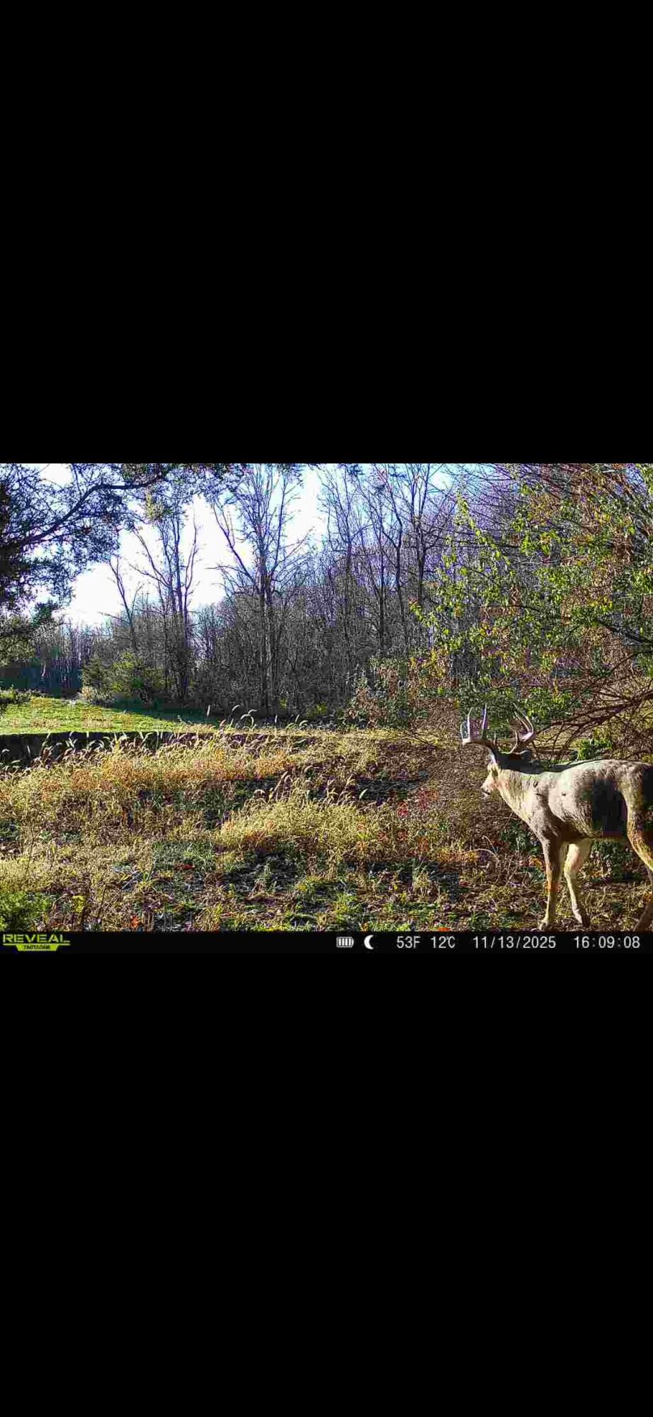 0 County Road 5, Zanesfield, Ohio 43360