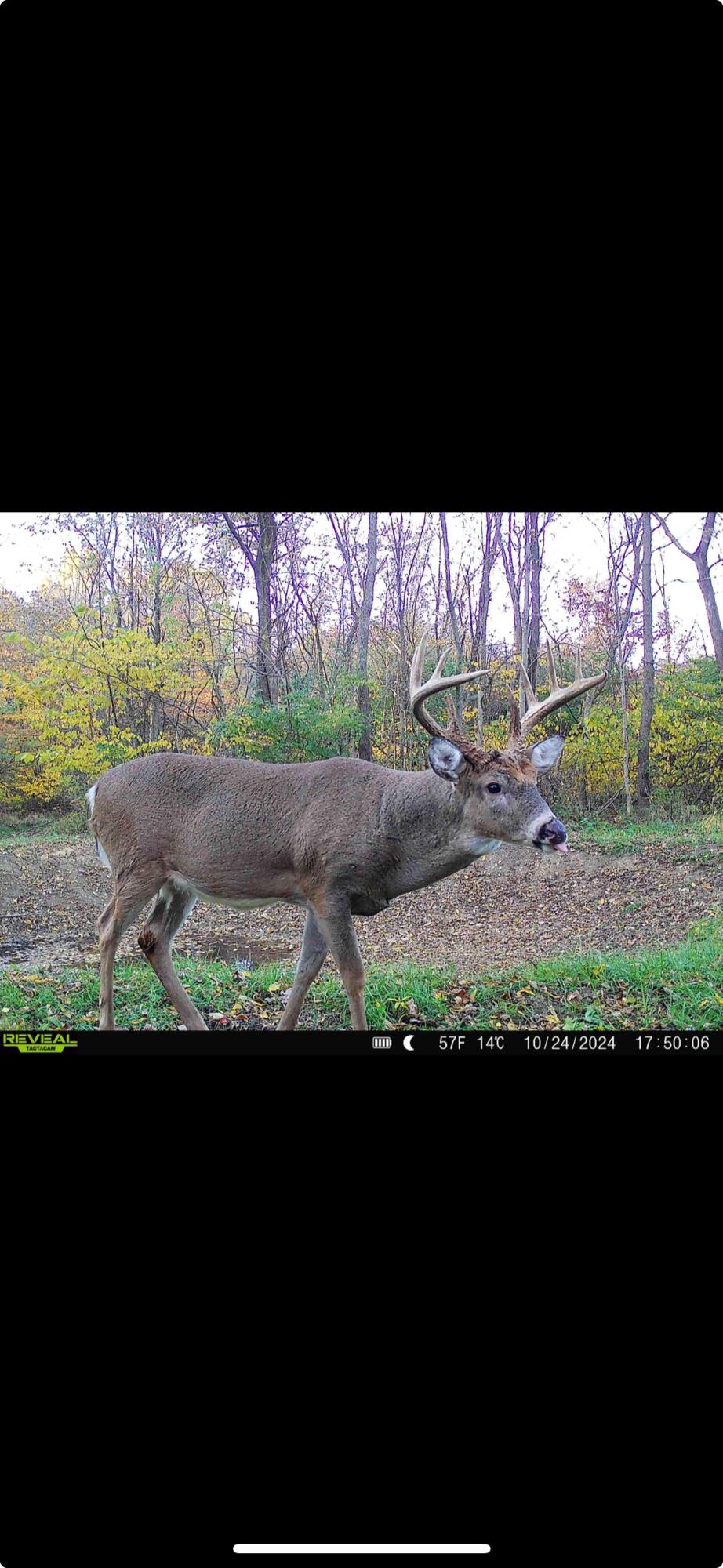 0 County Road 5, Zanesfield, Ohio 43360