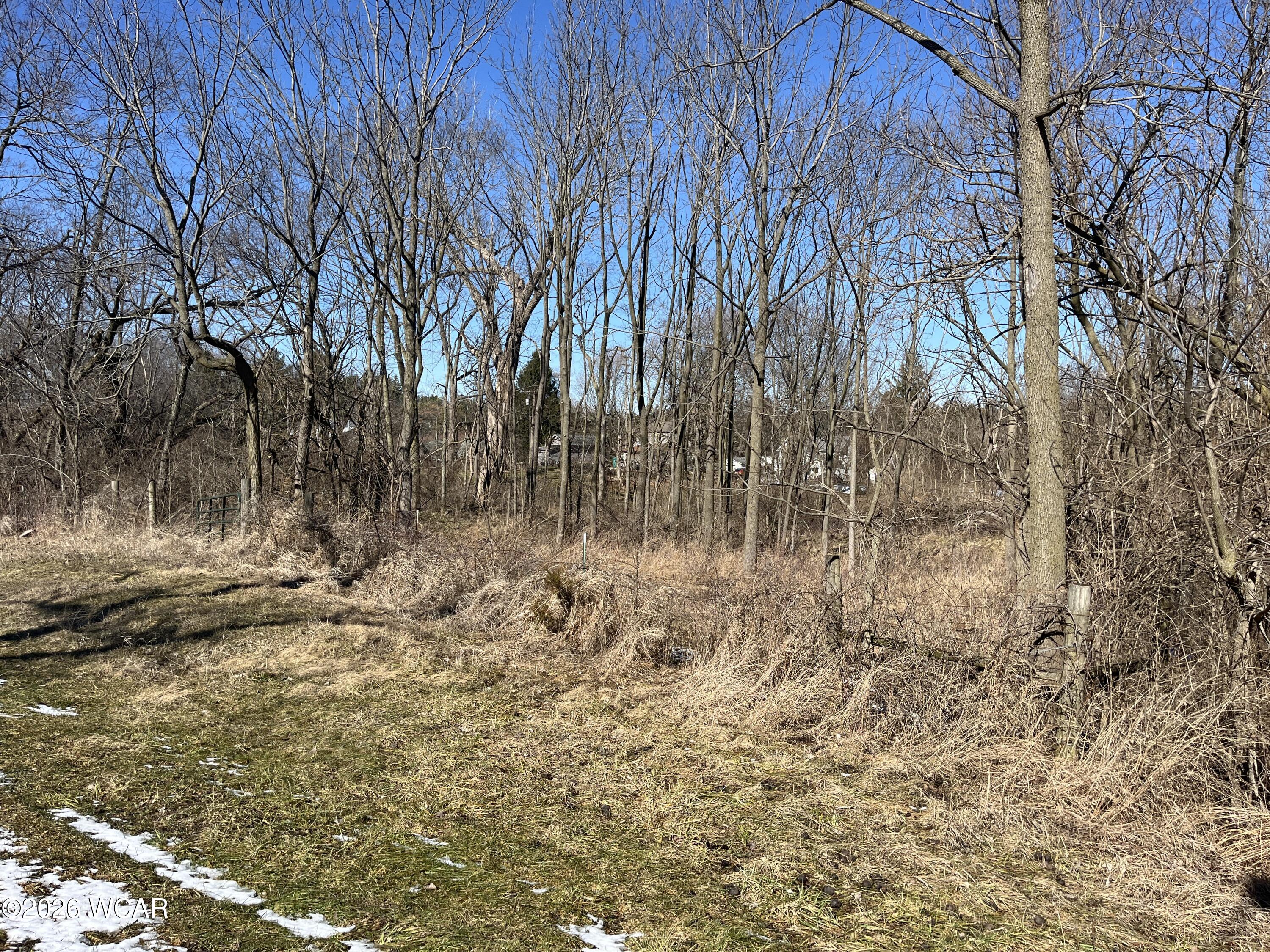 0 Spring Street, Saint Johns, Ohio