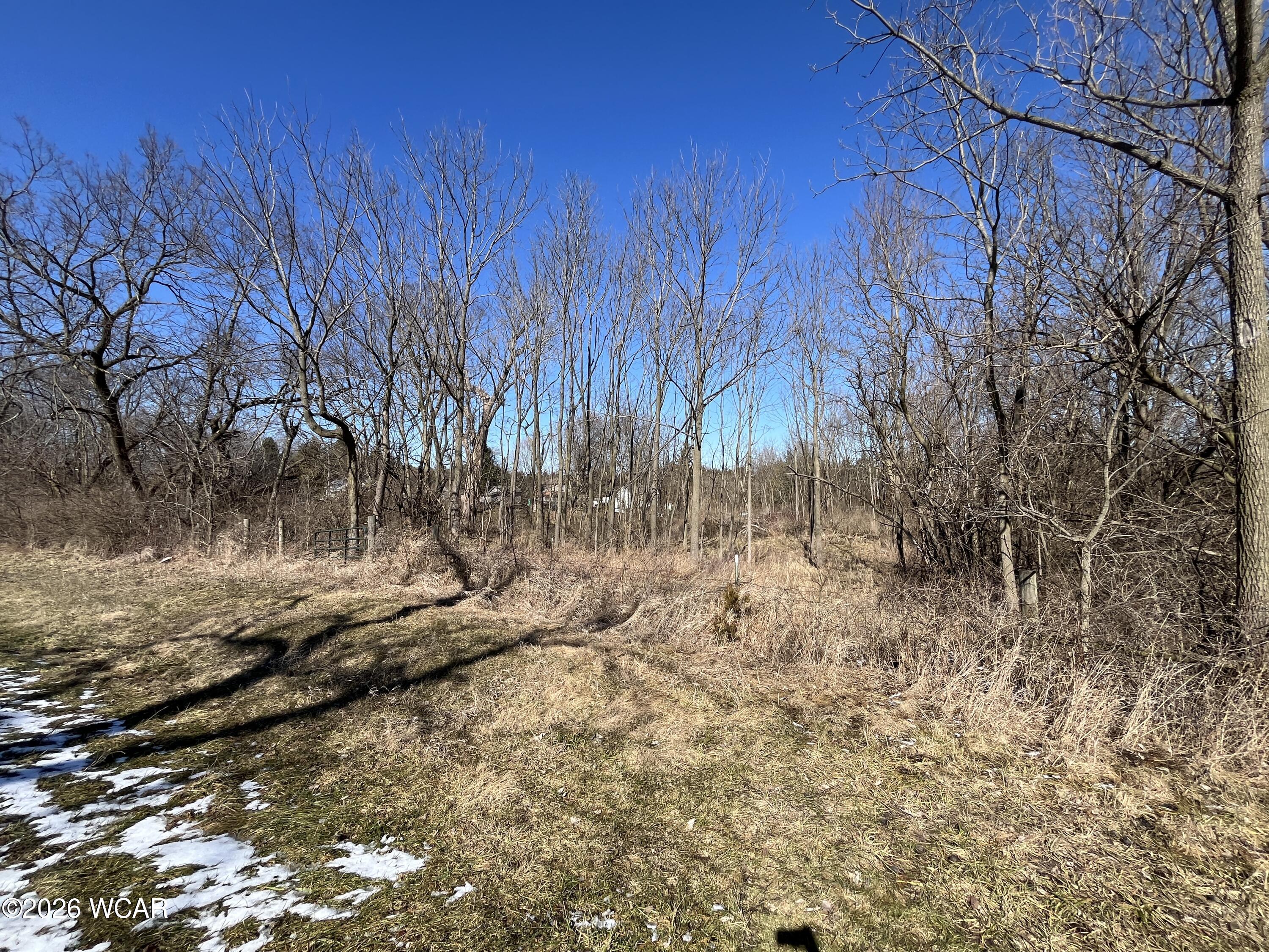 0 Spring Street, Saint Johns, Ohio