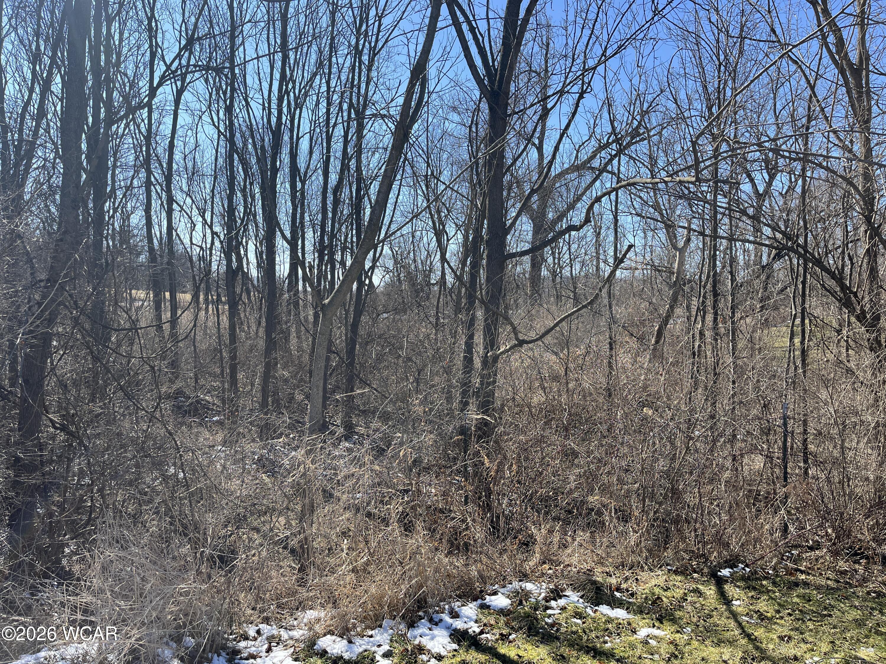 0 Spring Street, Saint Johns, Ohio