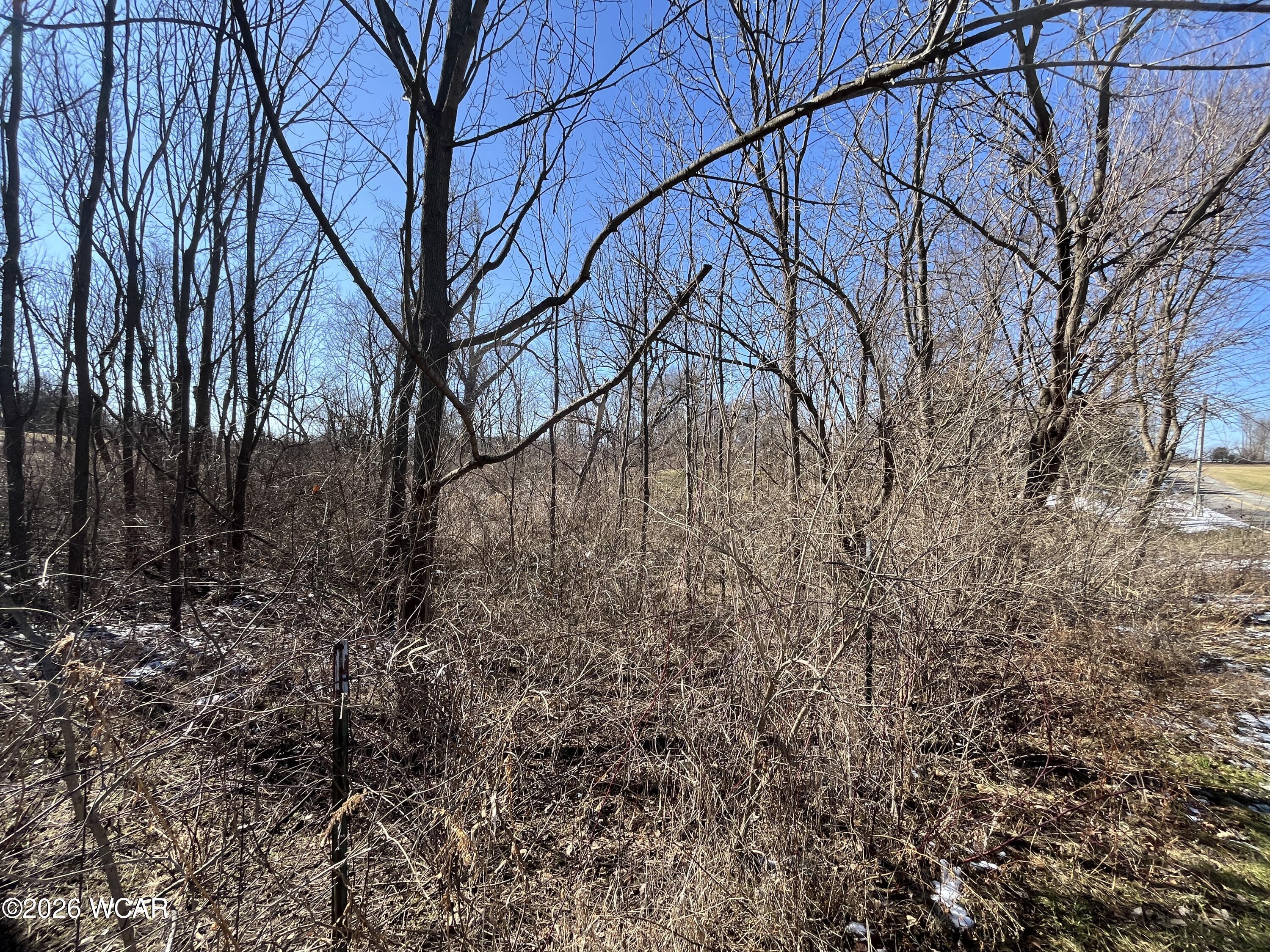 0 Spring Street, Saint Johns, Ohio