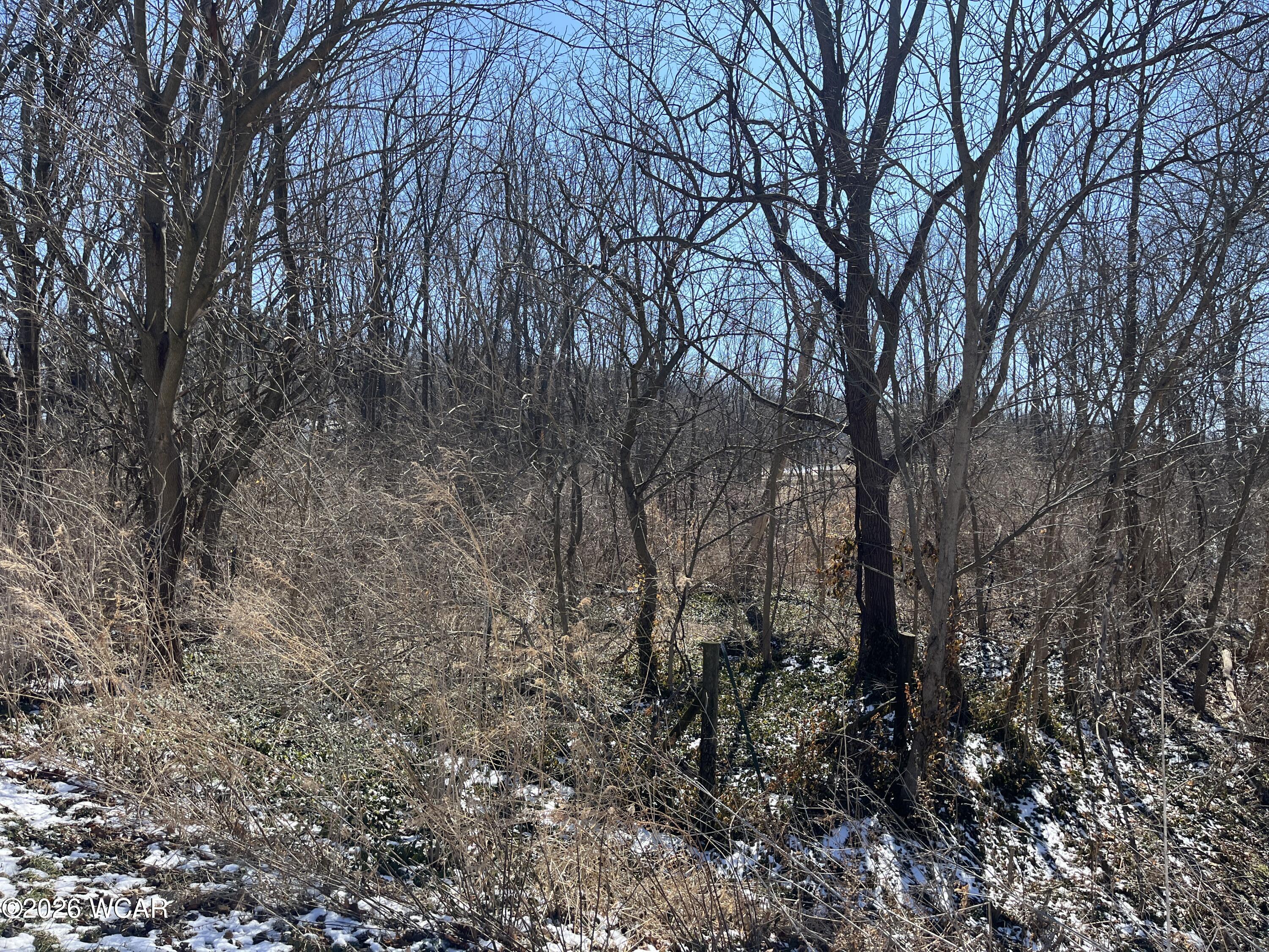 0 Spring Street, Saint Johns, Ohio