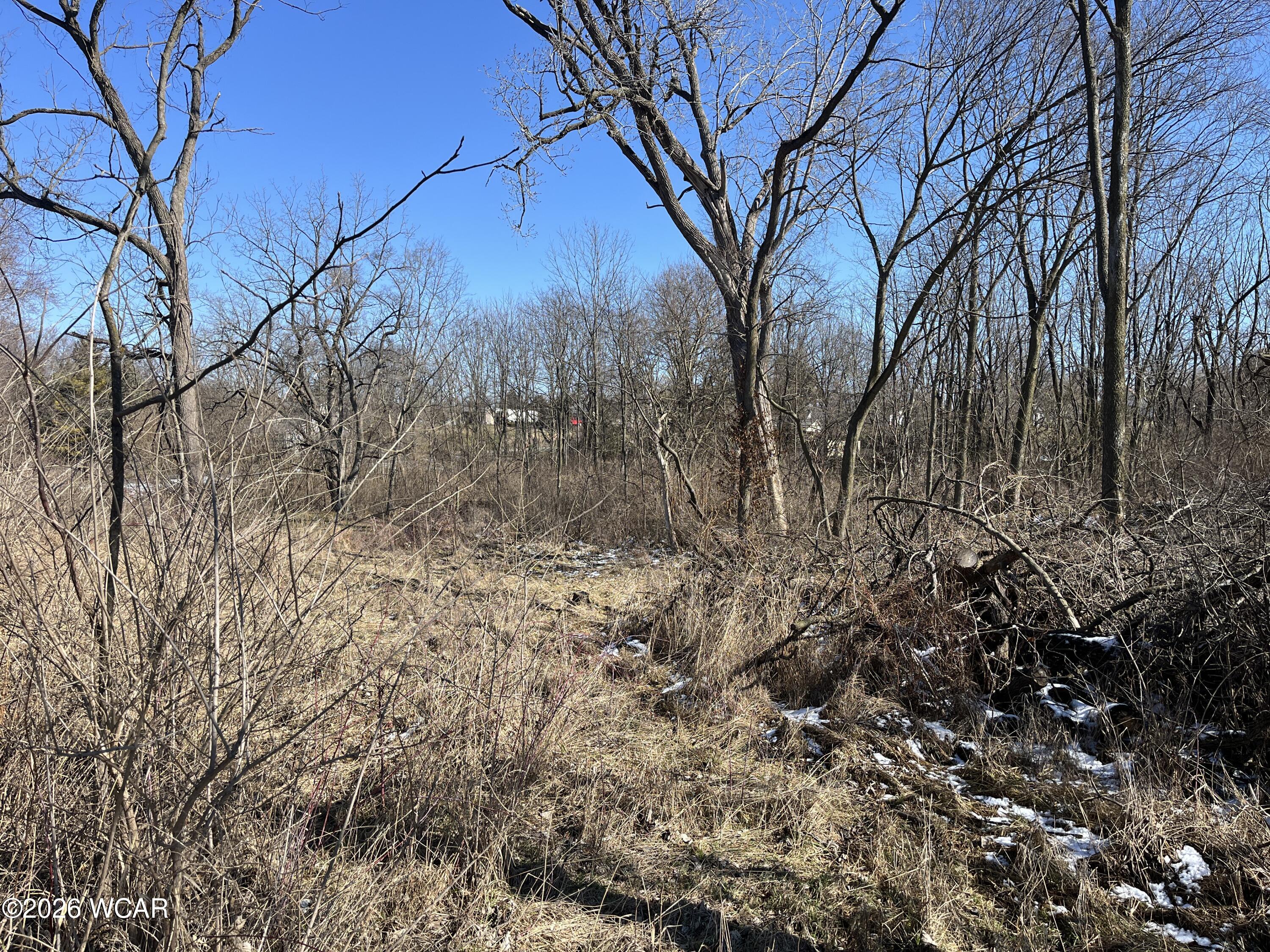 0 Spring Street, Saint Johns, Ohio