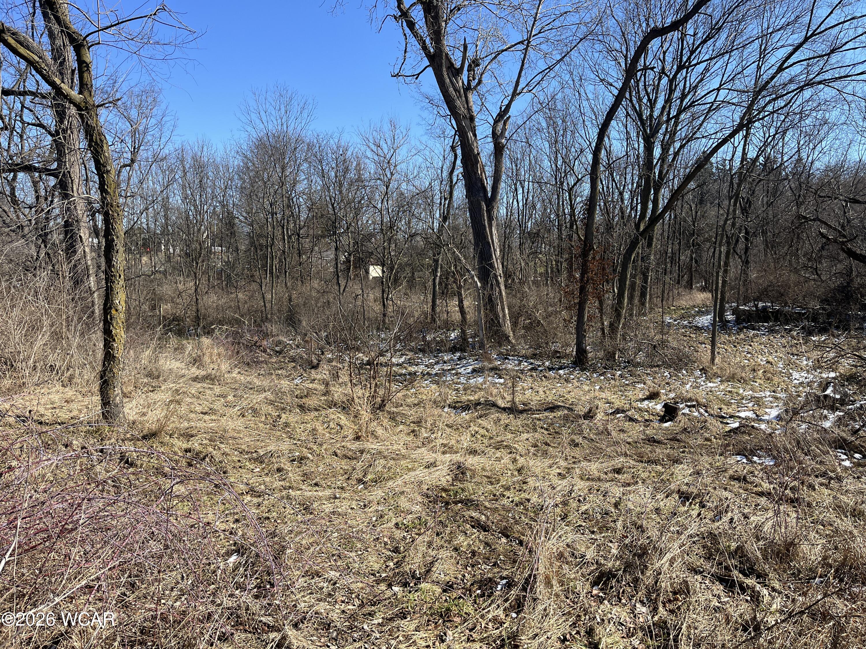 0 Spring Street, Saint Johns, Ohio