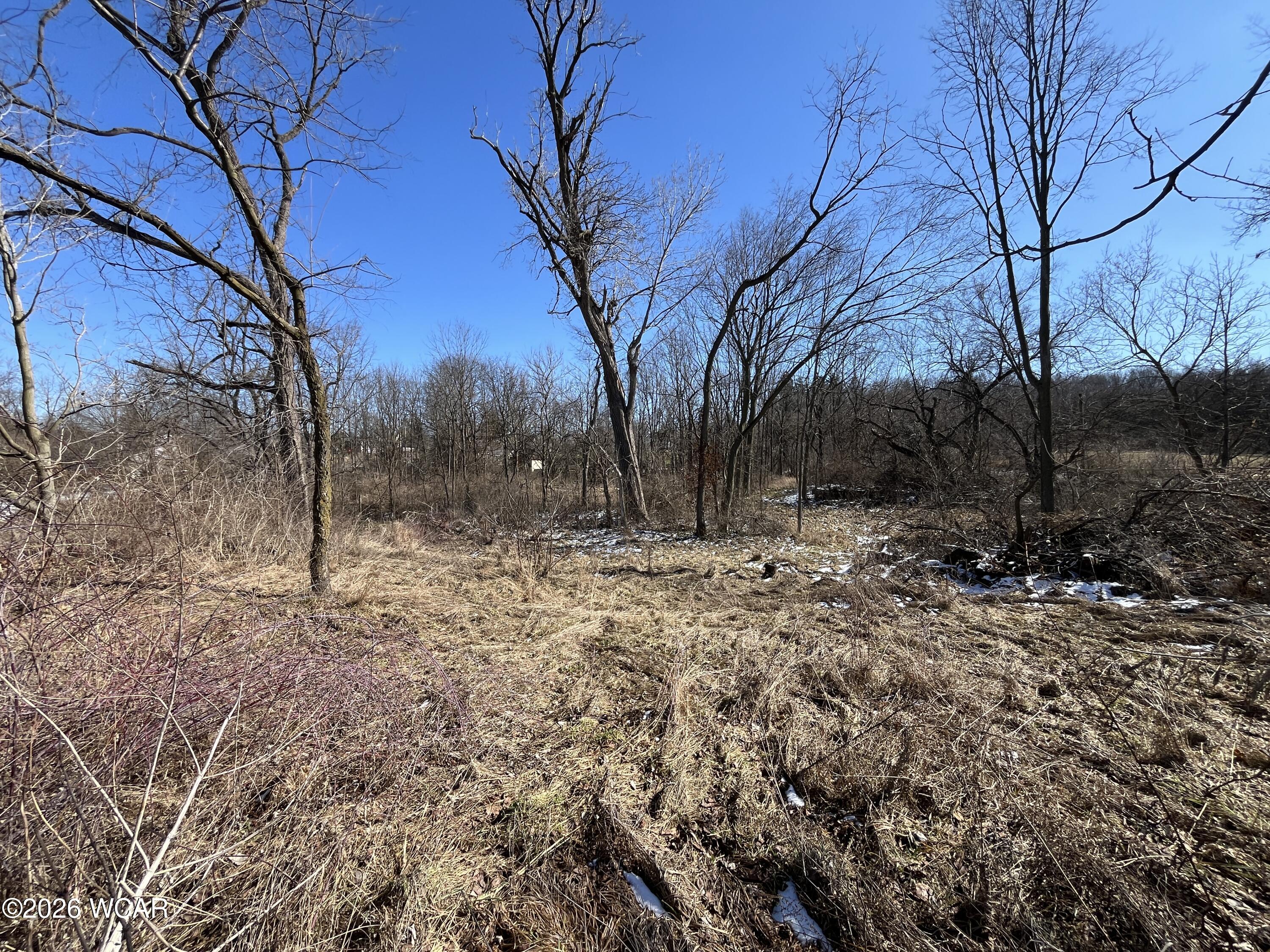 0 Spring Street, Saint Johns, Ohio