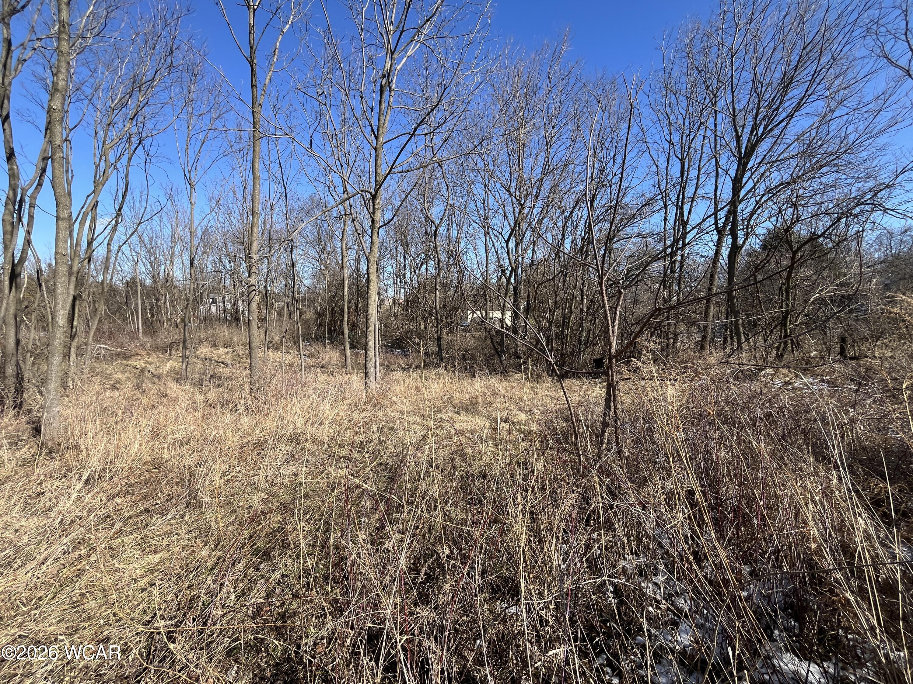 0 Spring Street, Saint Johns, Ohio