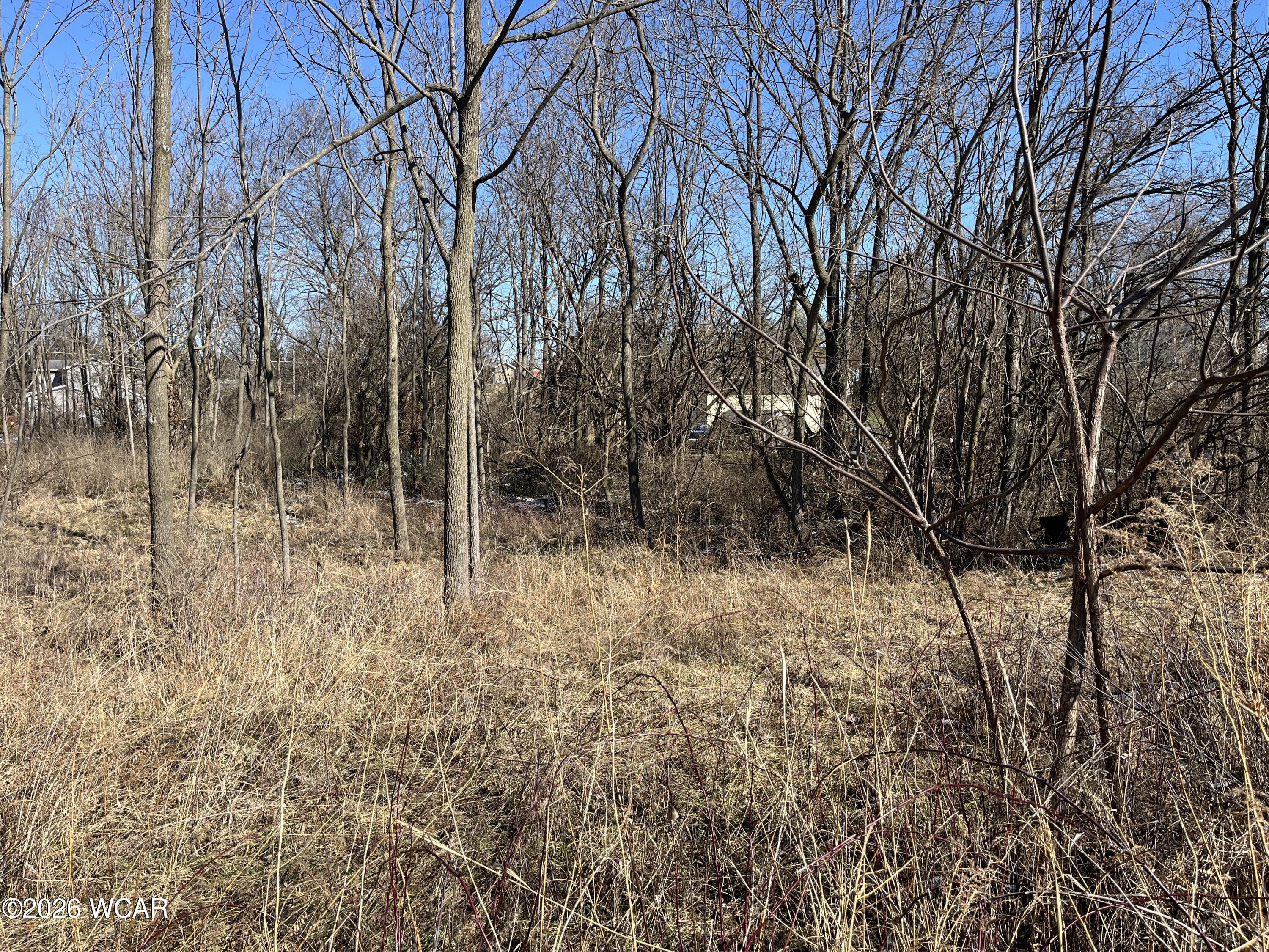 0 Spring Street, Saint Johns, Ohio