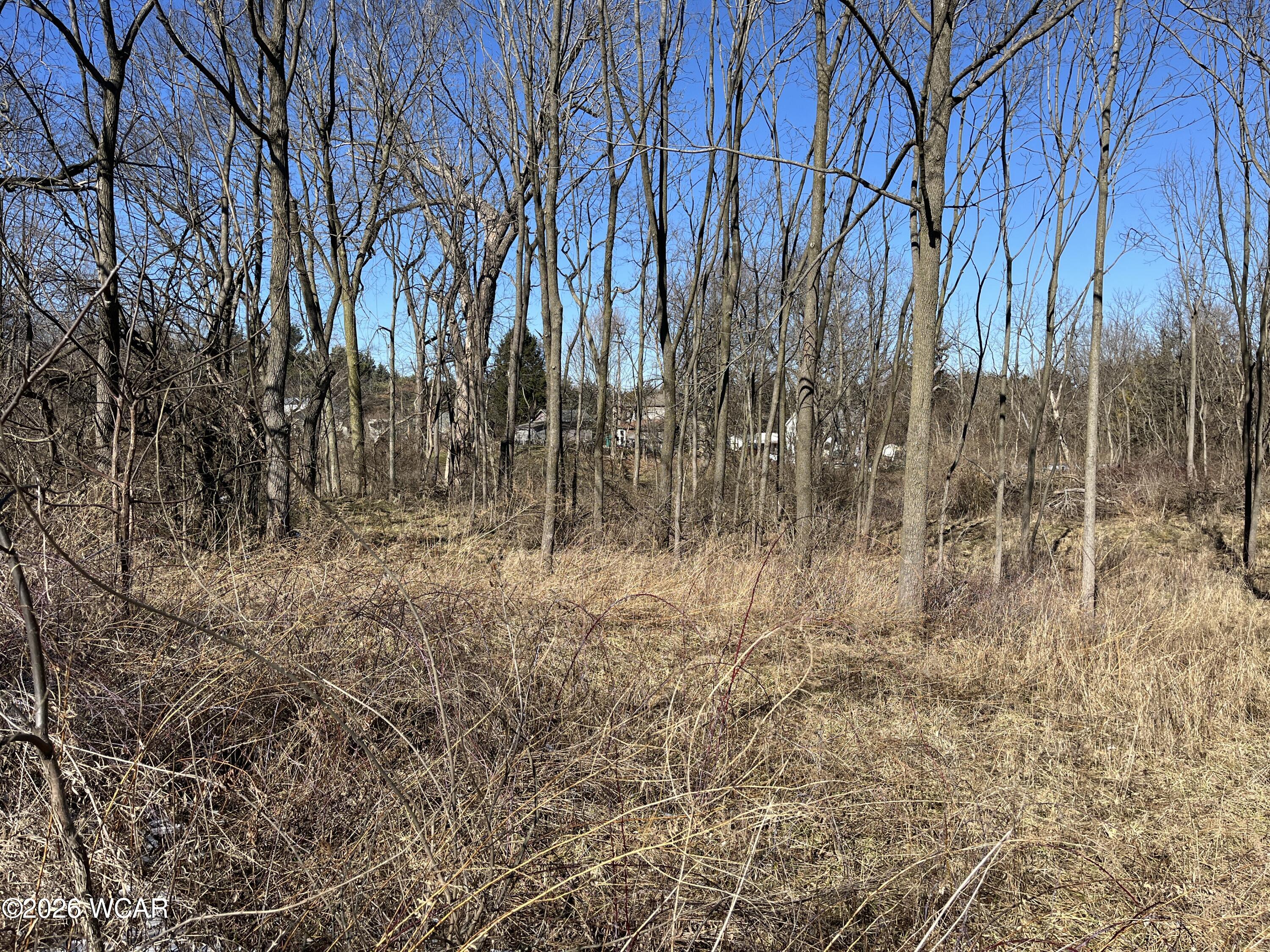 0 Spring Street, Saint Johns, Ohio