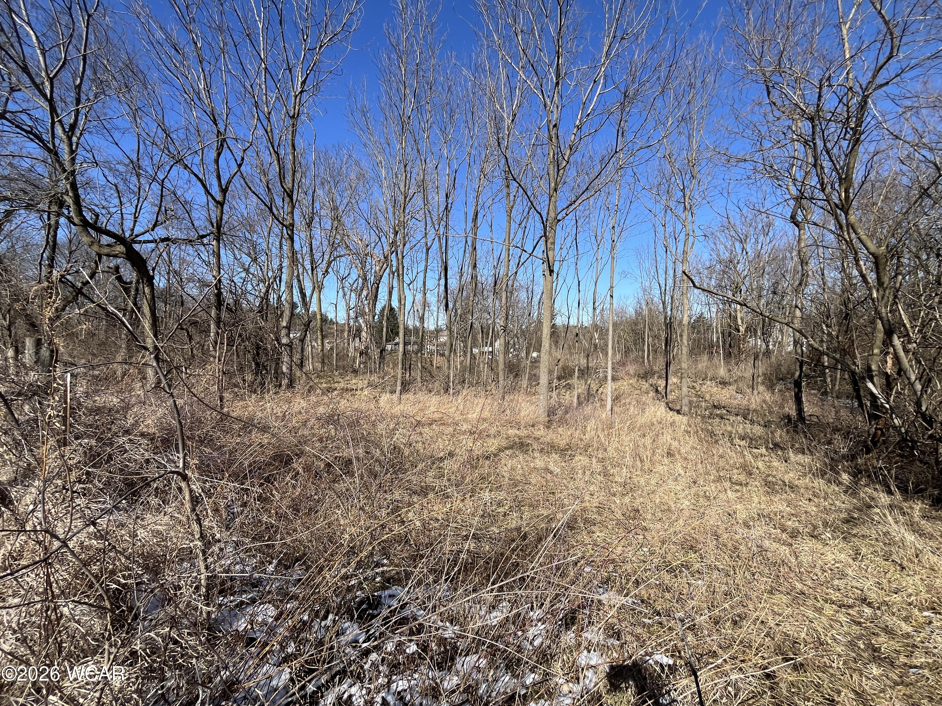 0 Spring Street, Saint Johns, Ohio