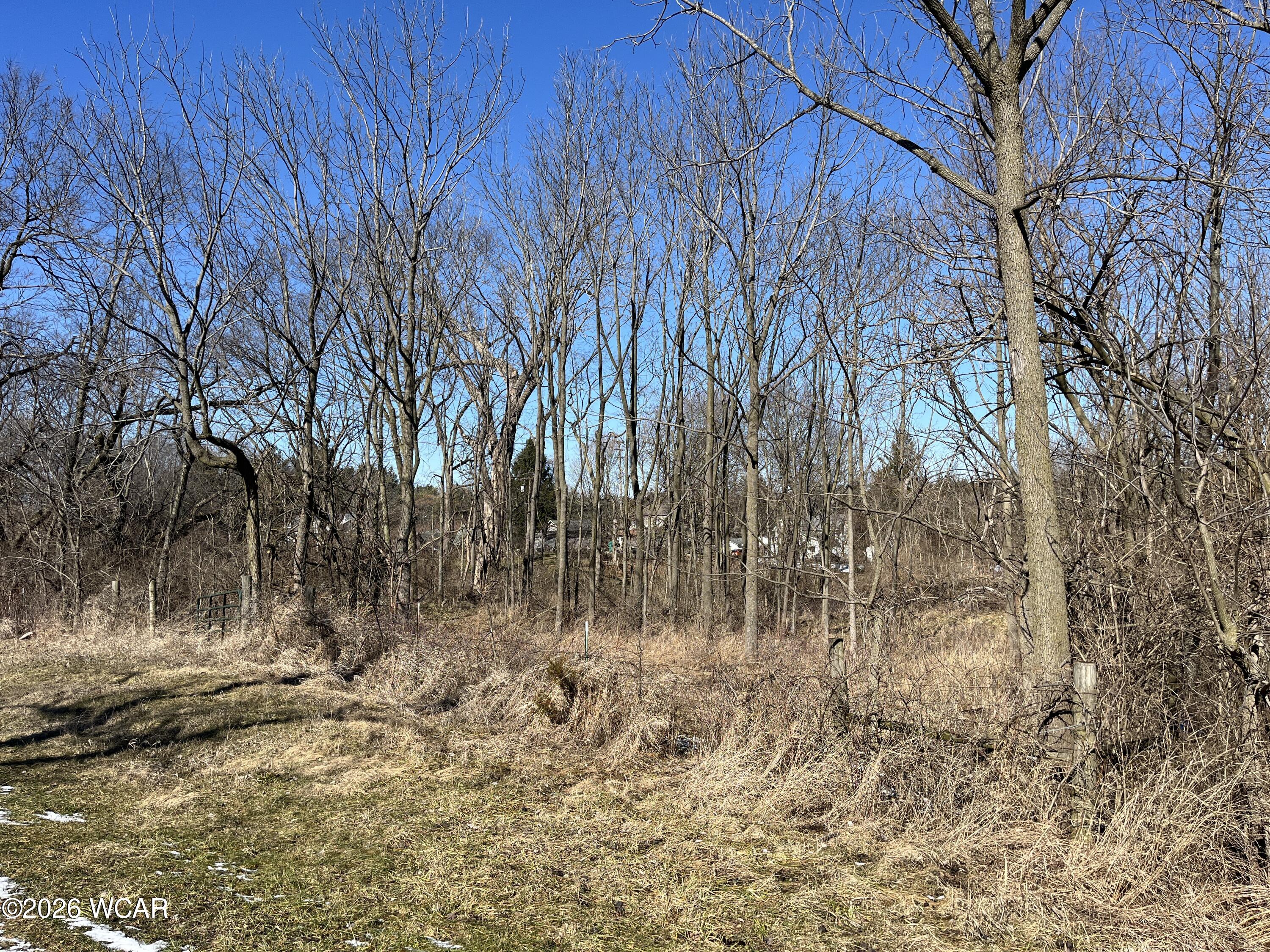 0 Spring Street, Saint Johns, Ohio