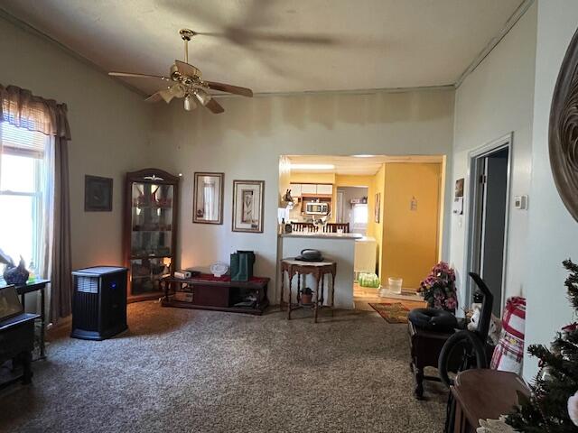 619 Canal Street, Troy, Ohio 45373