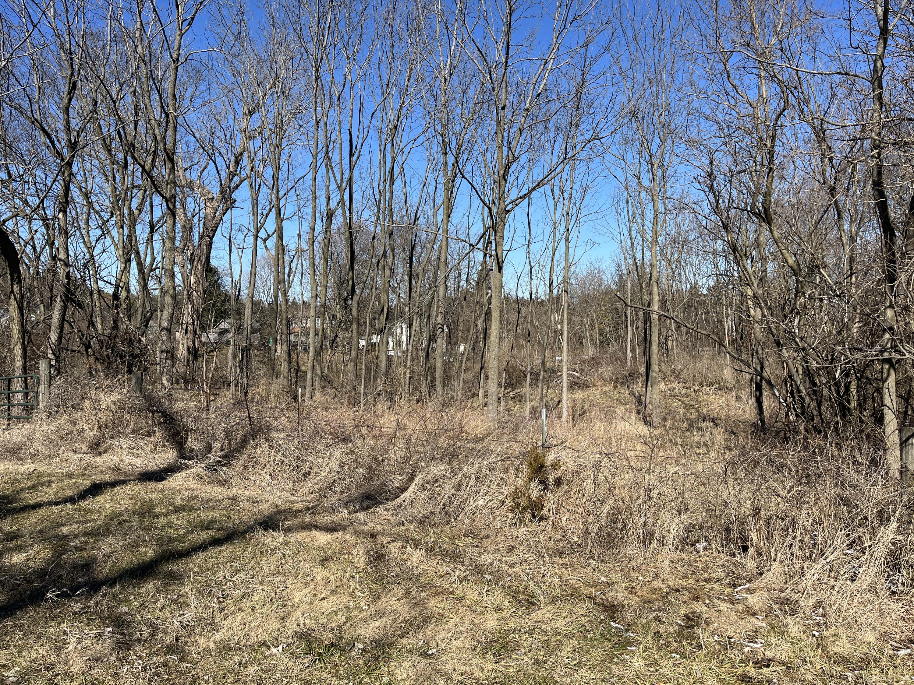 0 Center Street, Saint Johns, Ohio 45884