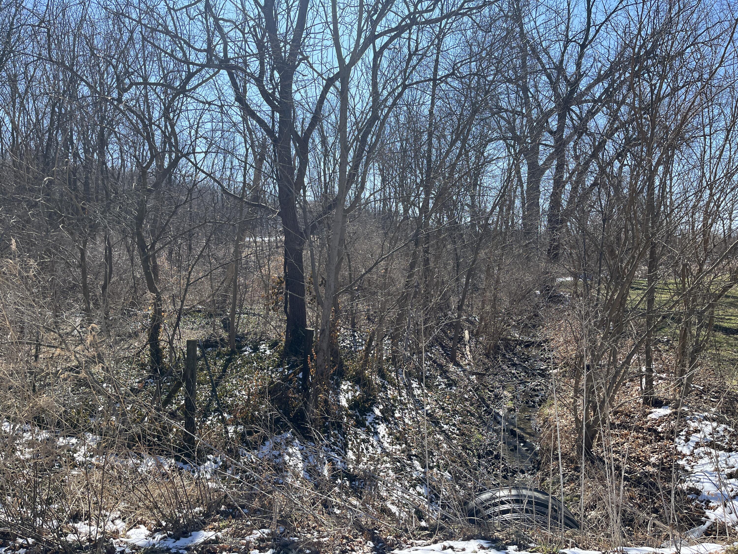 0 Center Street, Saint Johns, Ohio 45884