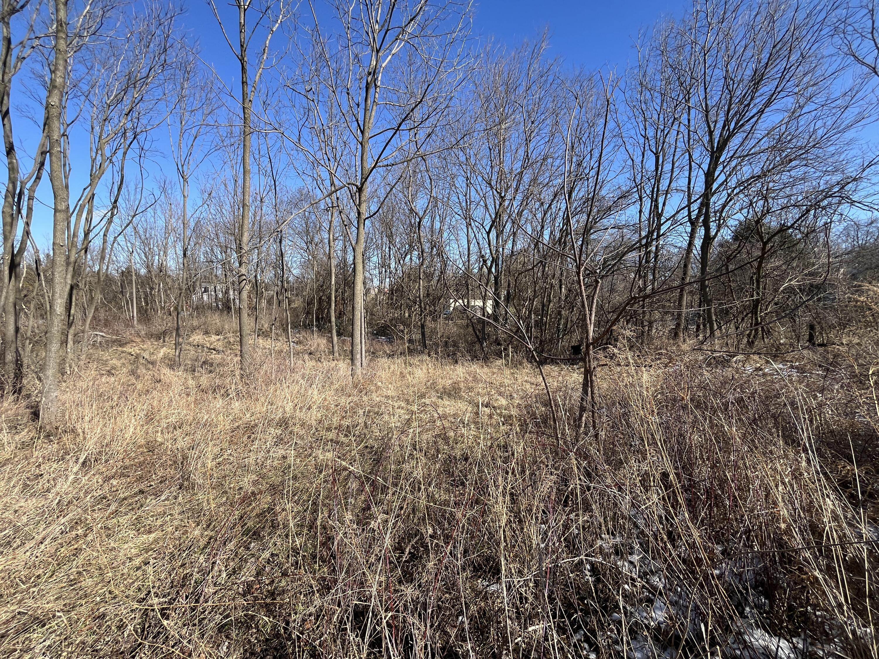 0 Center Street, Saint Johns, Ohio 45884