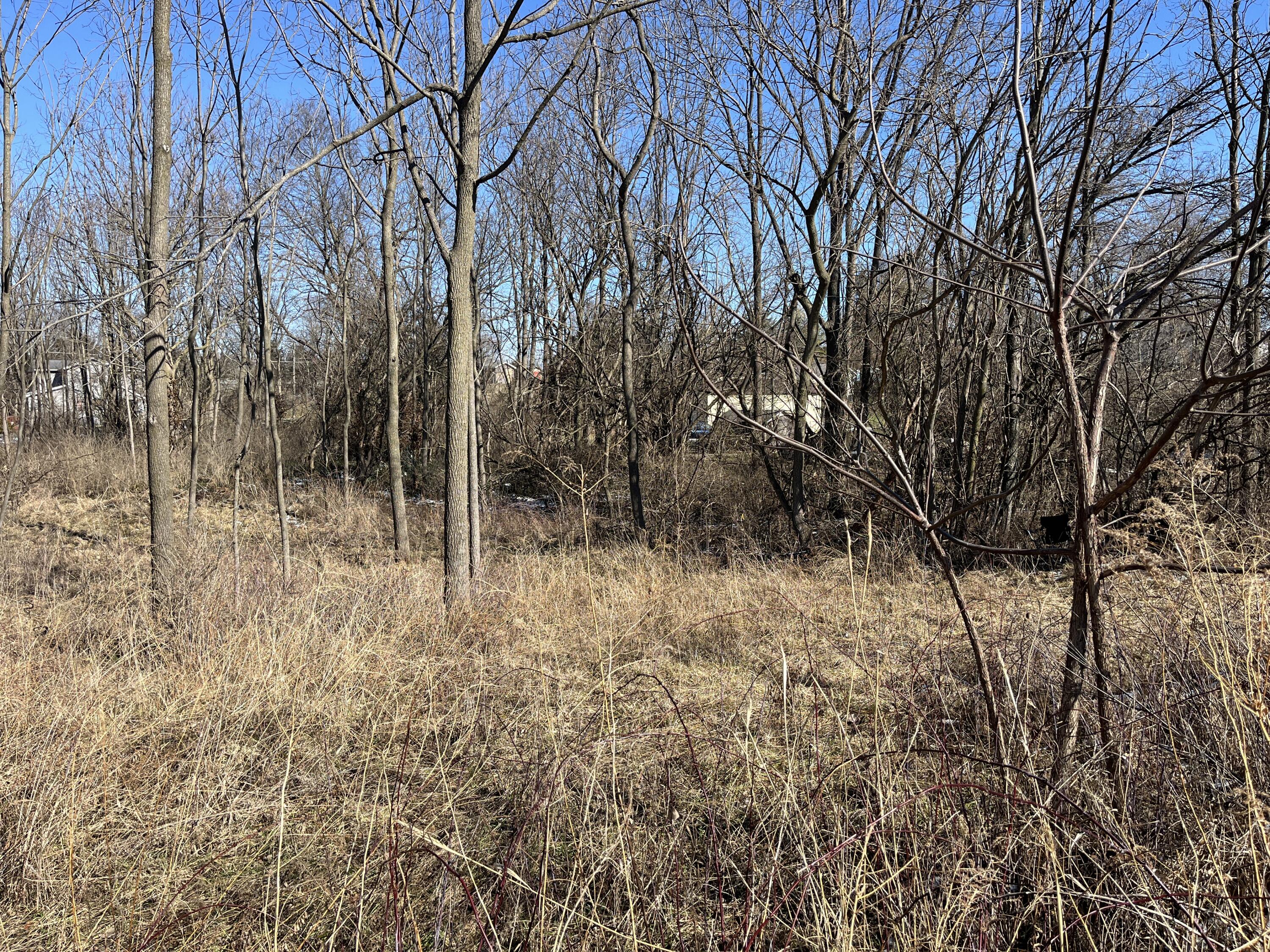 0 Center Street, Saint Johns, Ohio 45884