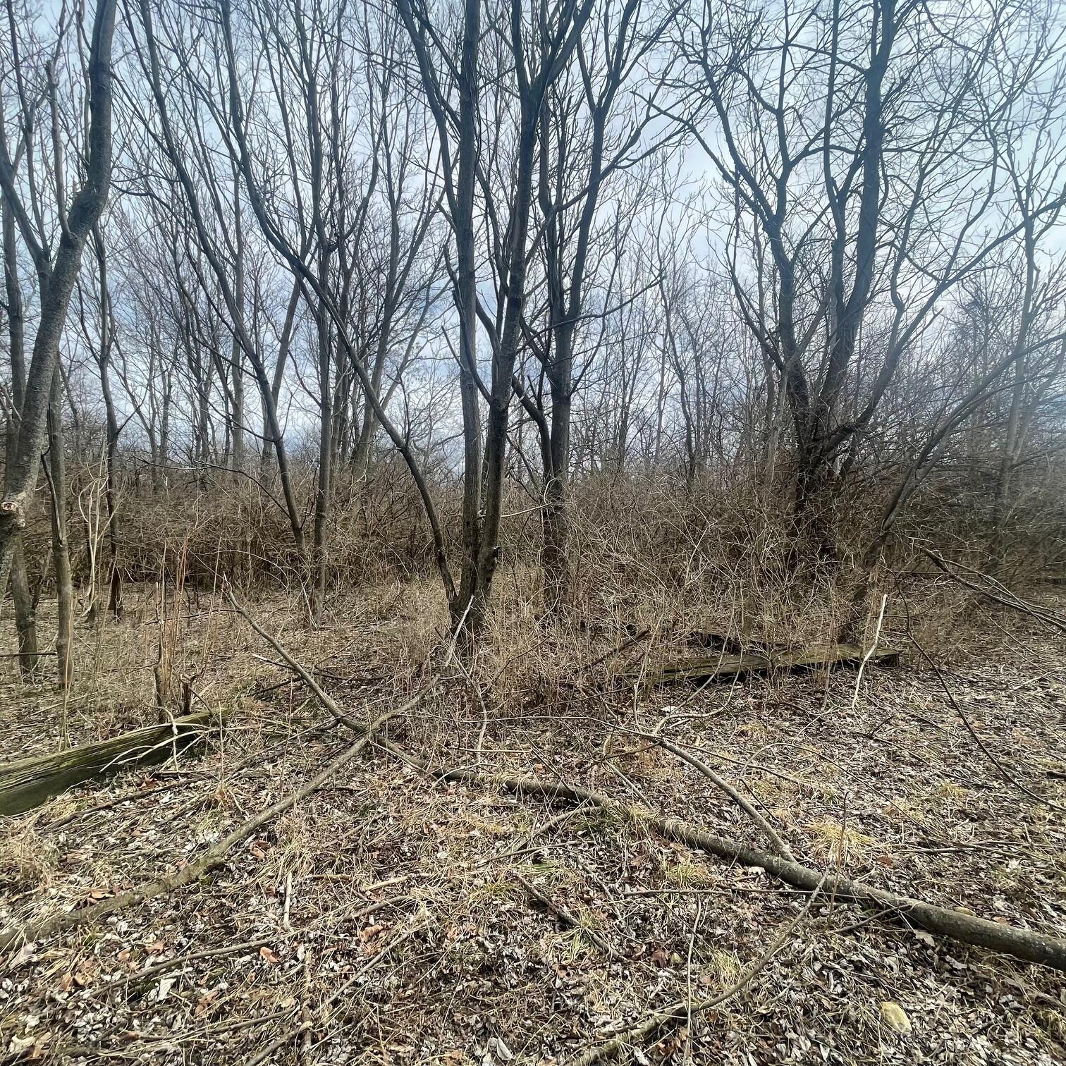 605 College Way, Urbana, Ohio 43078