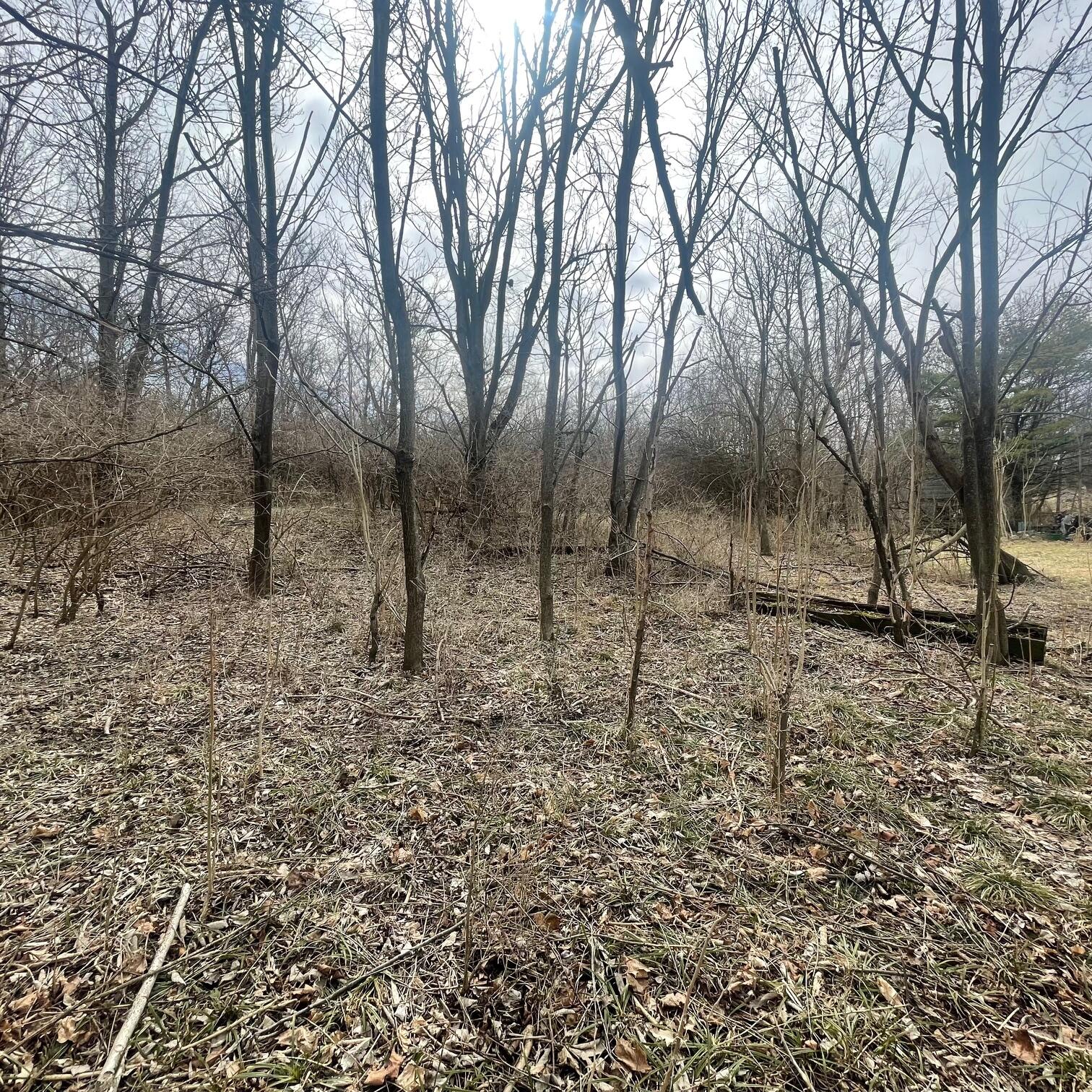 605 College Way, Urbana, Ohio 43078