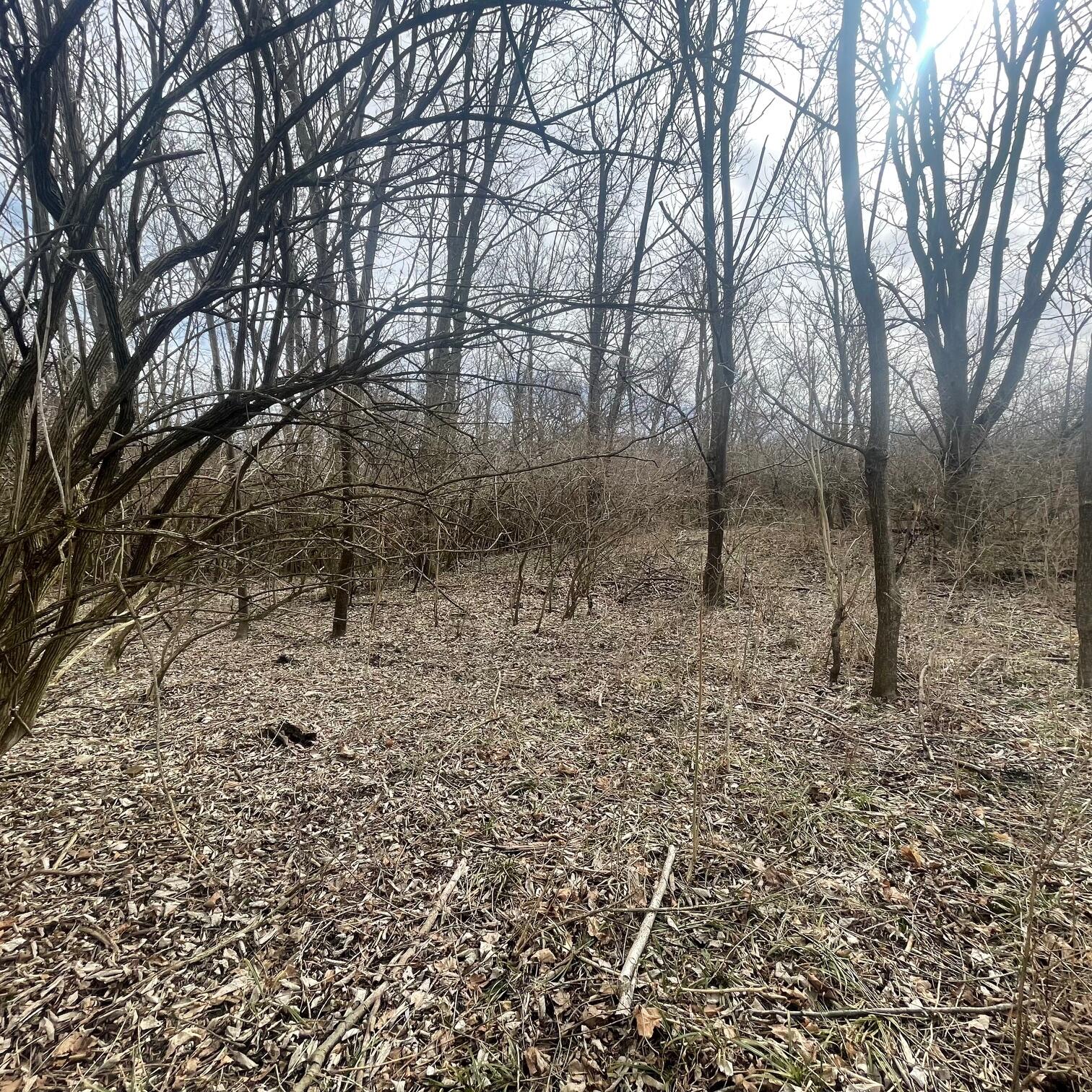 605 College Way, Urbana, Ohio 43078