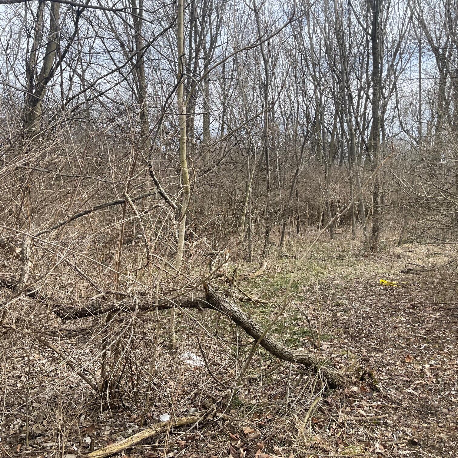 605 College Way, Urbana, Ohio 43078