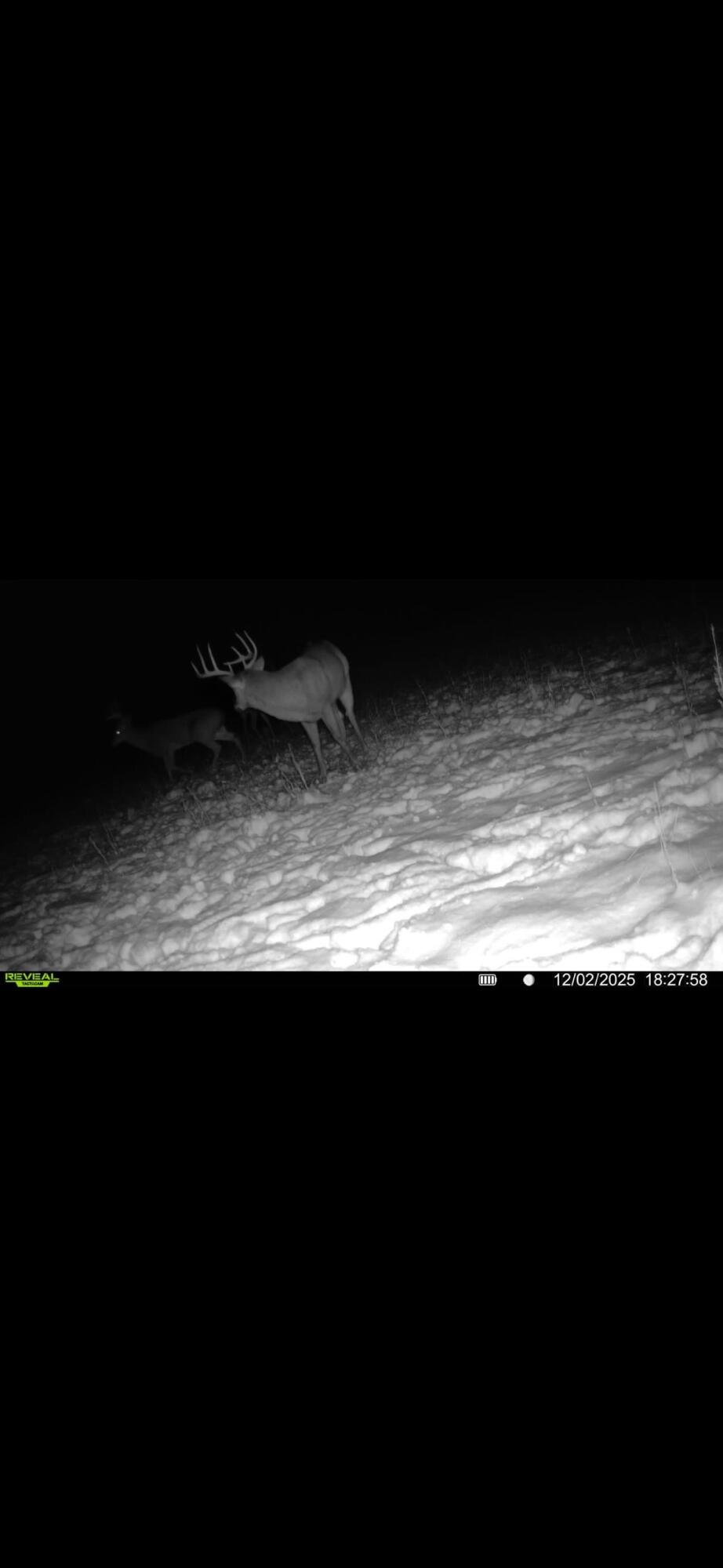 924 Eris Road, Urbana, Ohio 43078