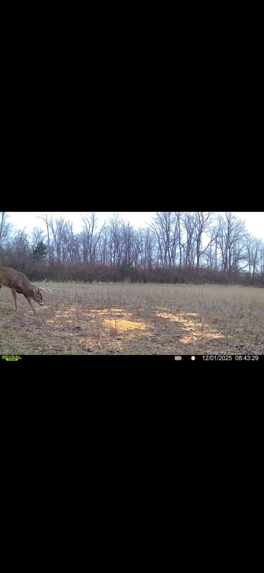 924 Eris Road, Urbana, Ohio 43078