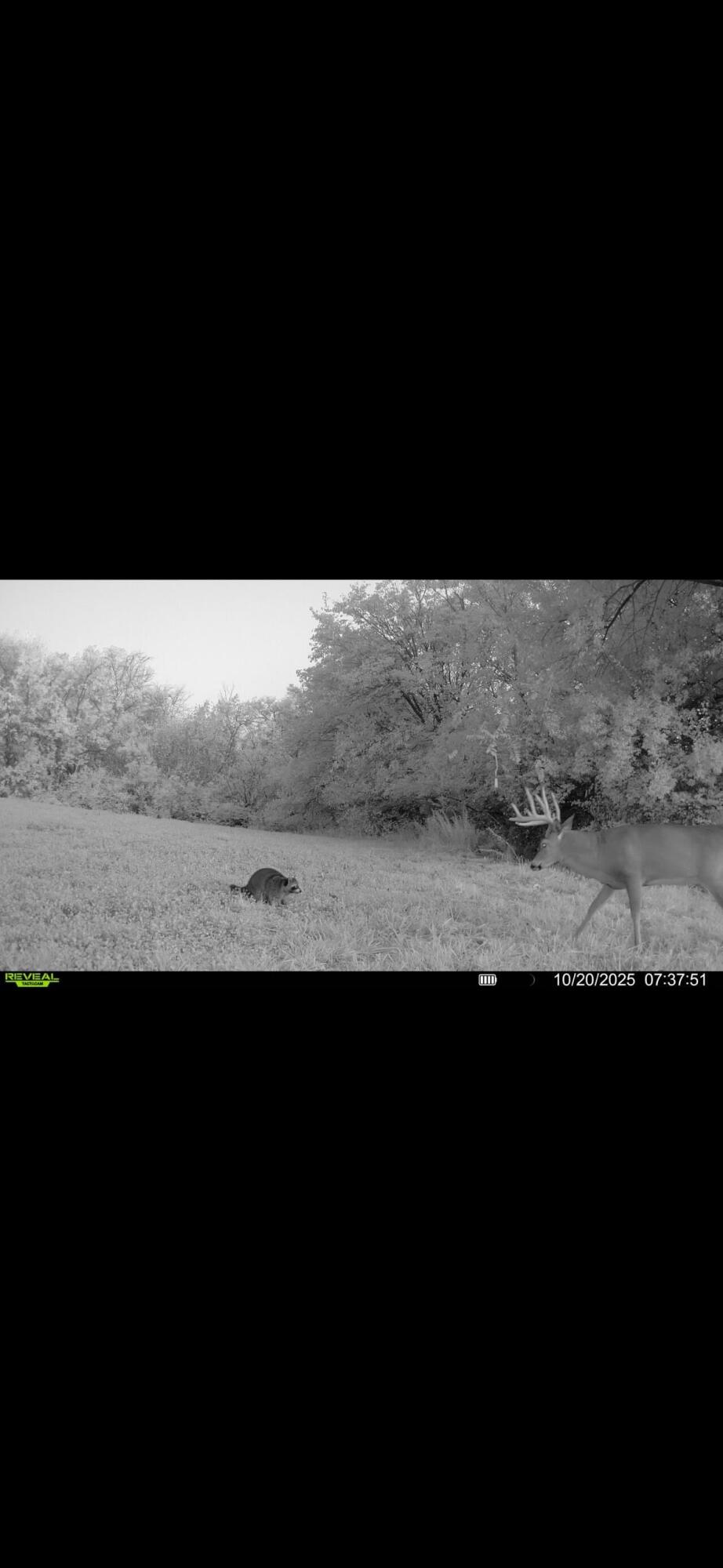 924 Eris Road, Urbana, Ohio 43078