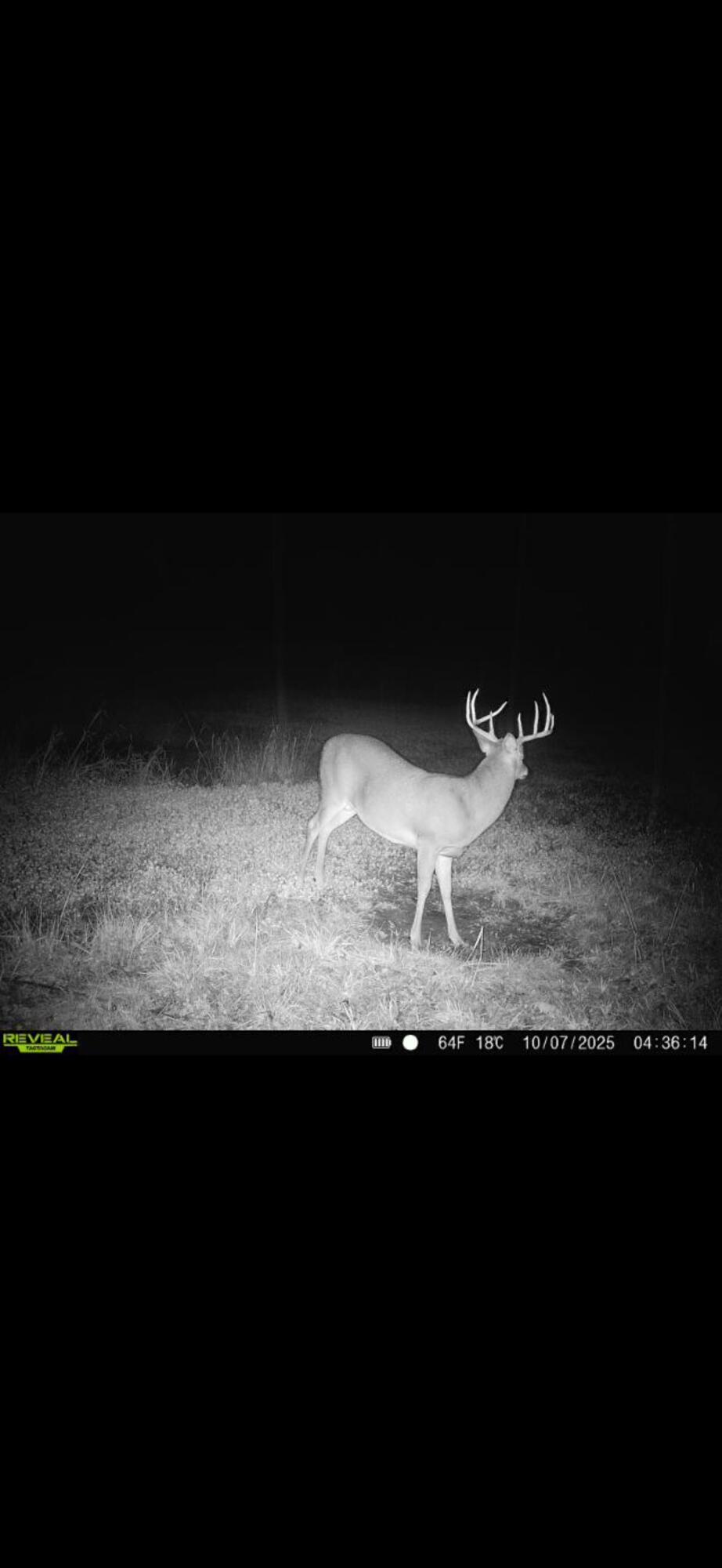 924 Eris Road, Urbana, Ohio 43078